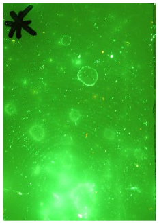 Molecules 28 05687 i001