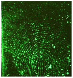 Molecules 28 05687 i004