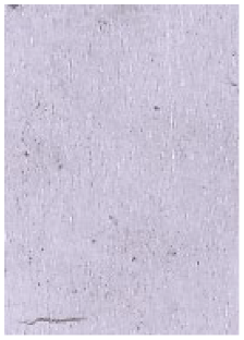 Molecules 28 05687 i009