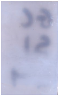 Molecules 28 05687 i011