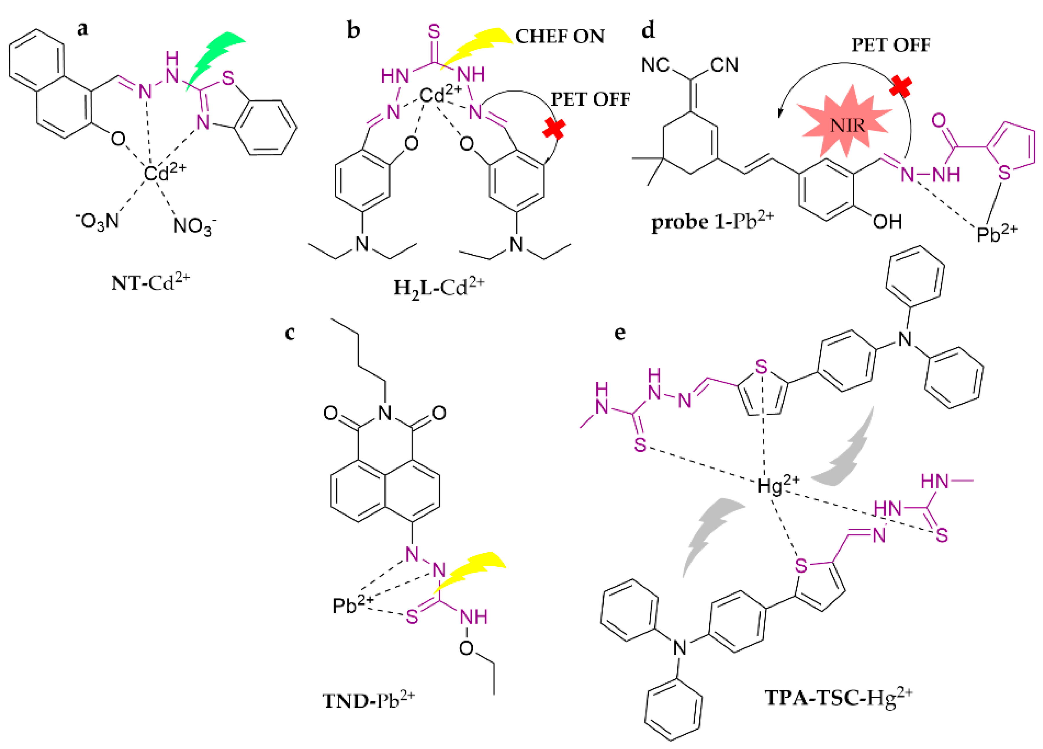 Molecules 28 05689 g016
