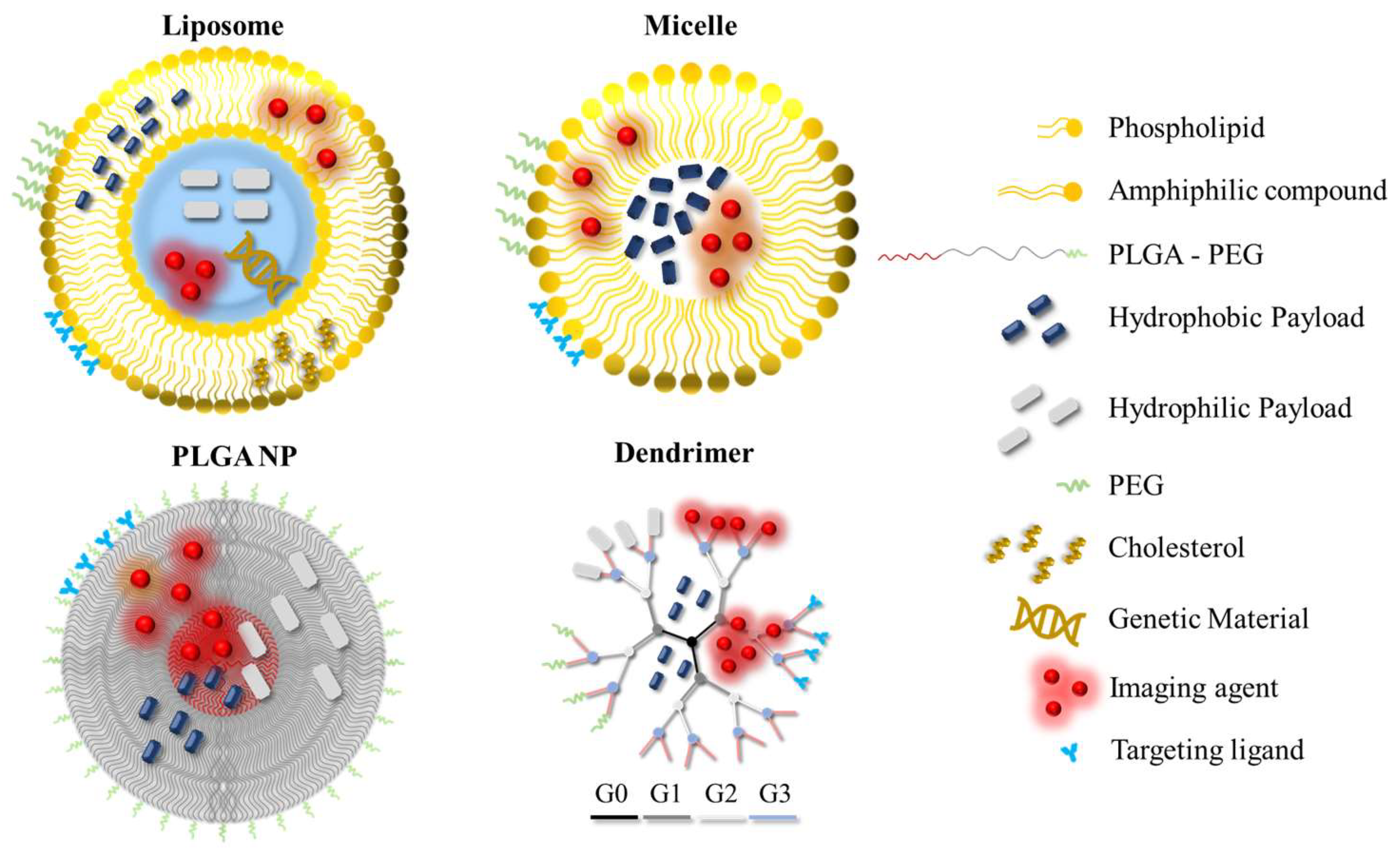 Molecules 28 05694 g002