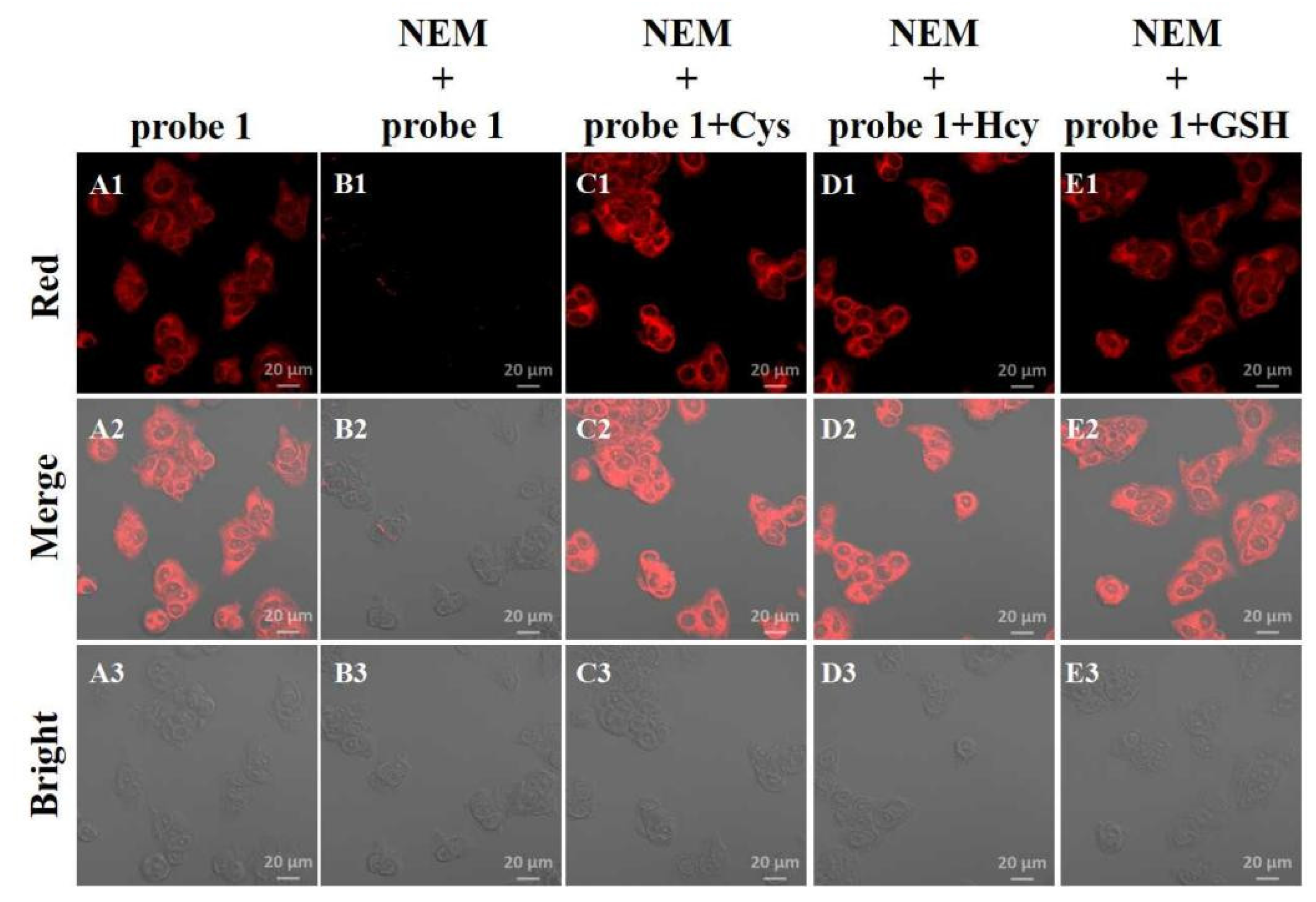 Molecules 28 05702 g003