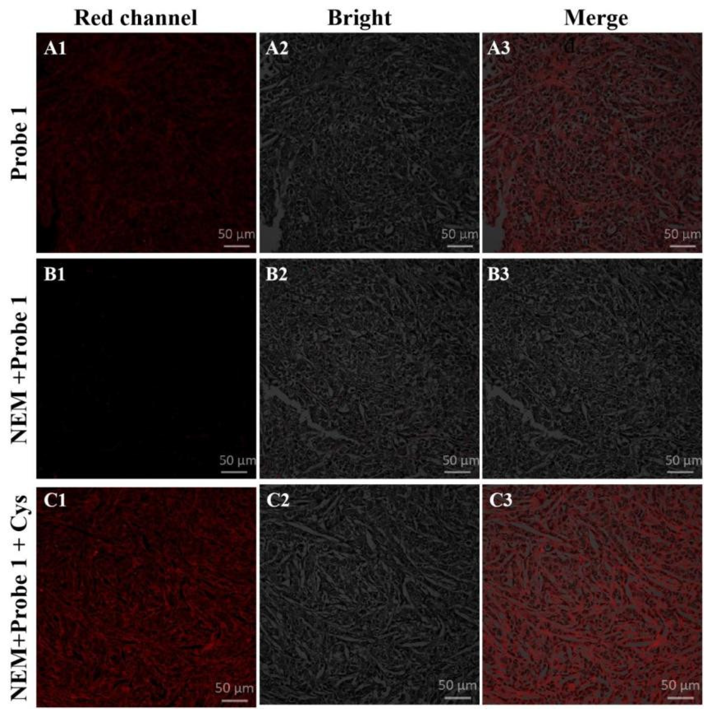 Molecules 28 05702 g005