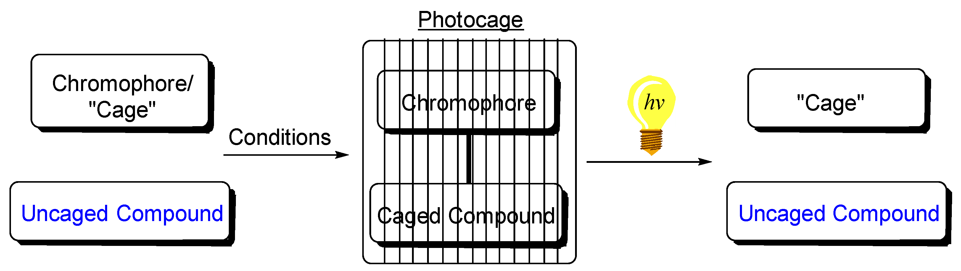 Molecules 28 05704 g001