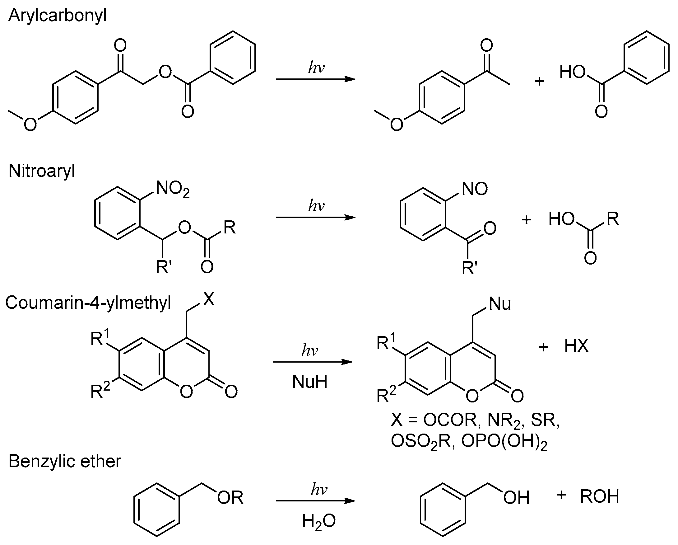 Molecules 28 05704 sch001