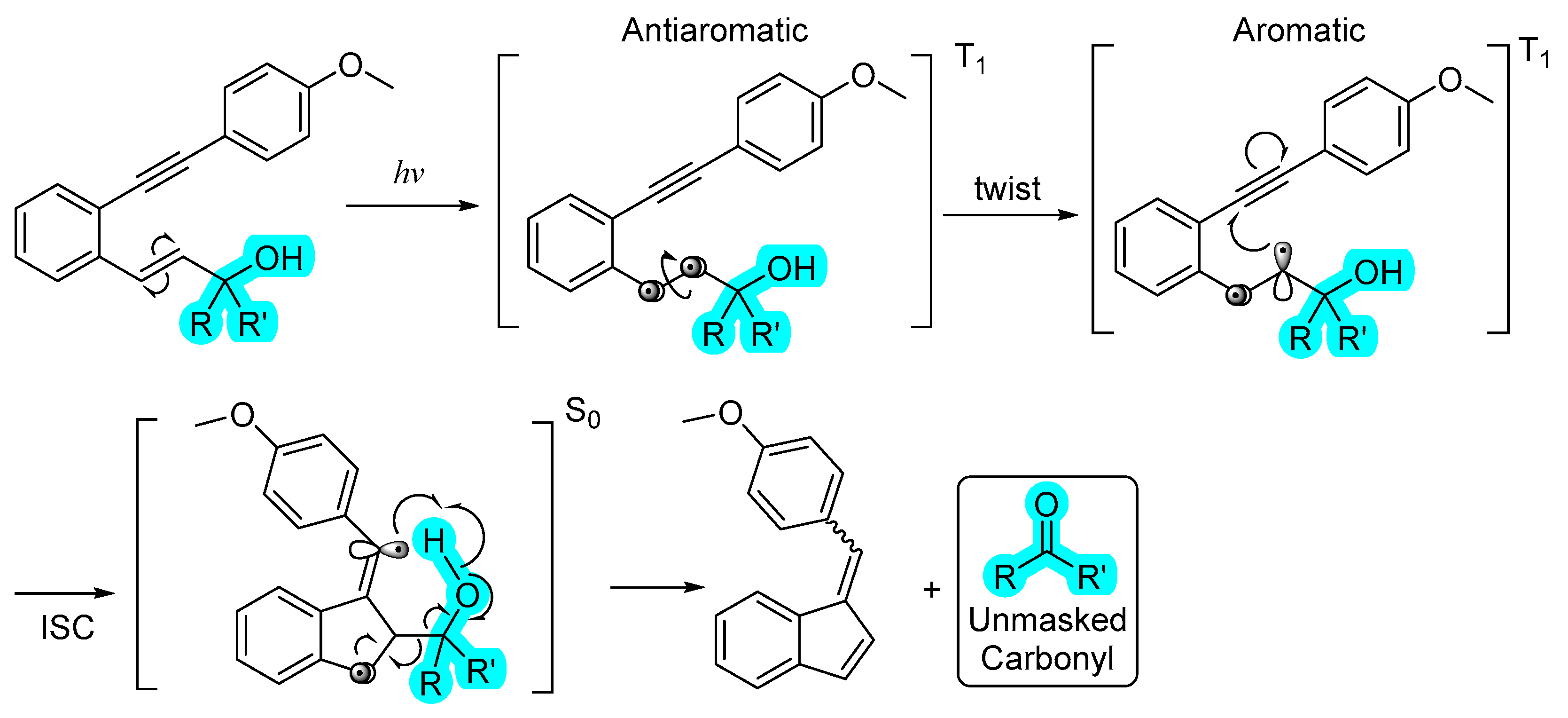 Molecules 28 05704 sch002