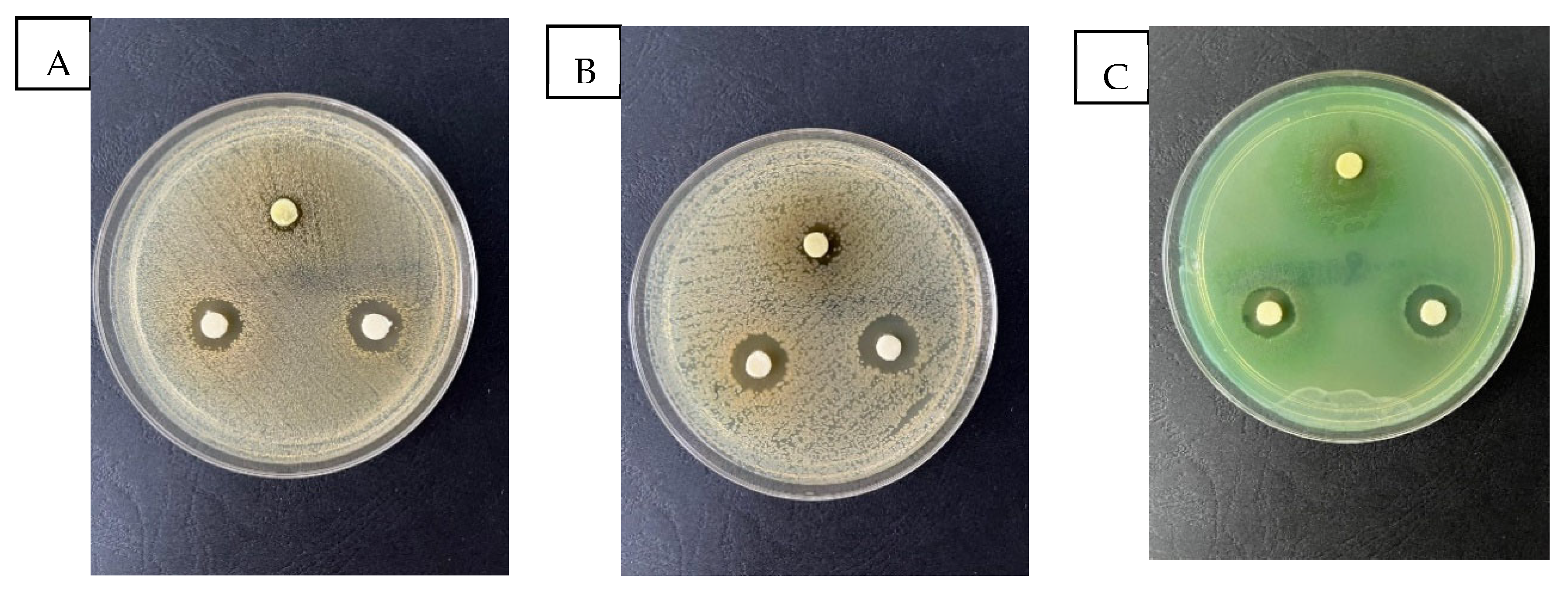 Molecules 28 05711 g003