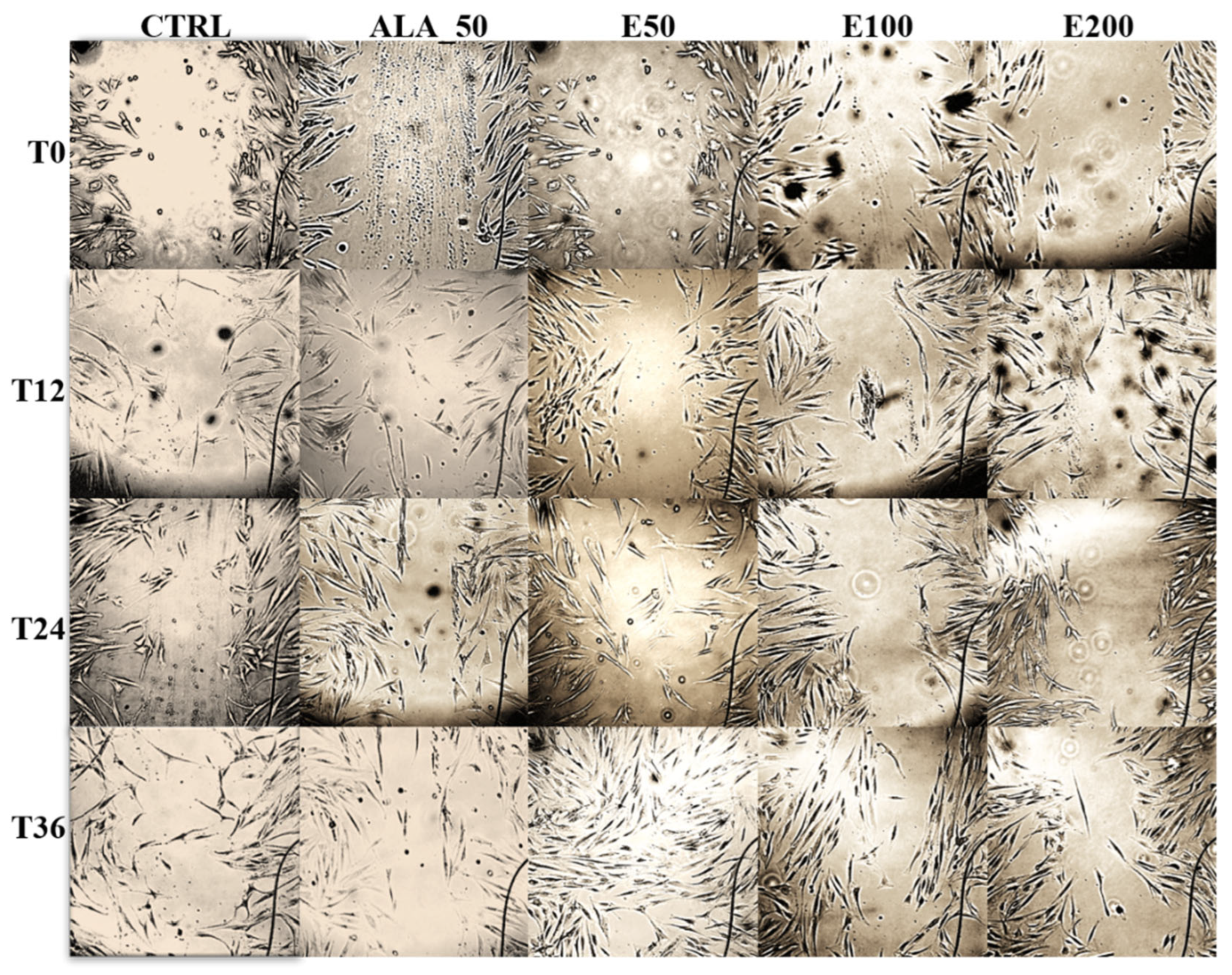Molecules 28 05711 g005