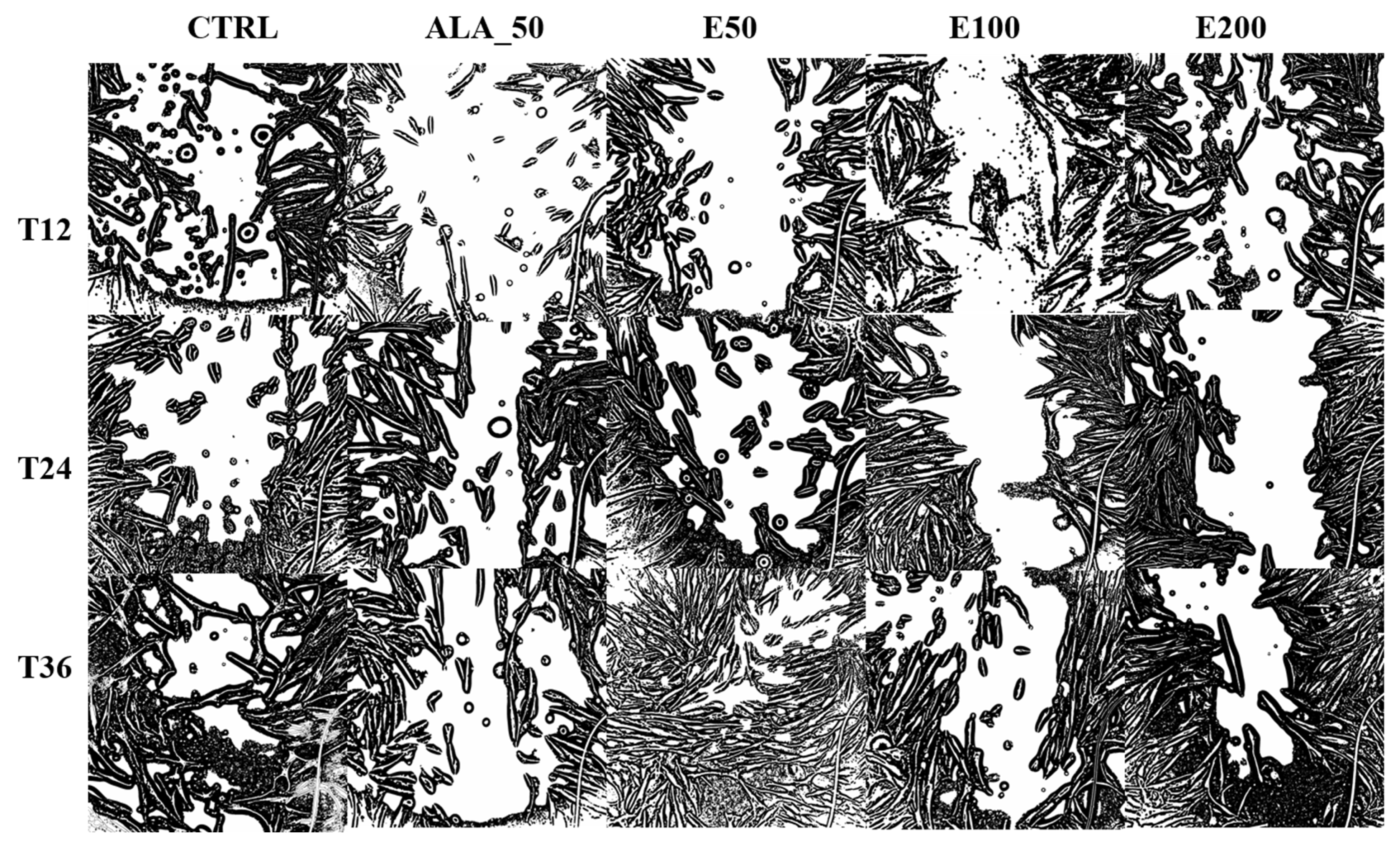 Molecules 28 05711 g006