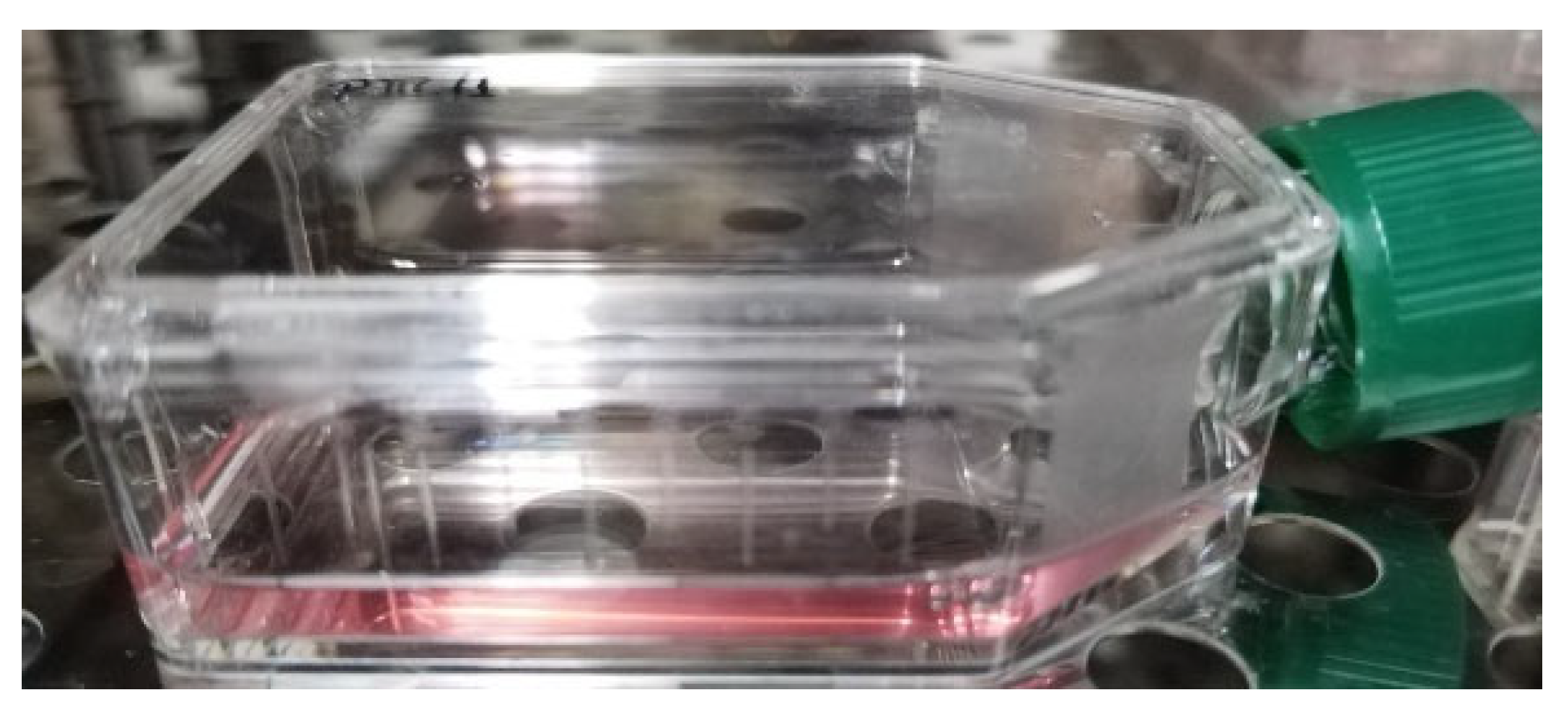 Molecules 28 05711 g009