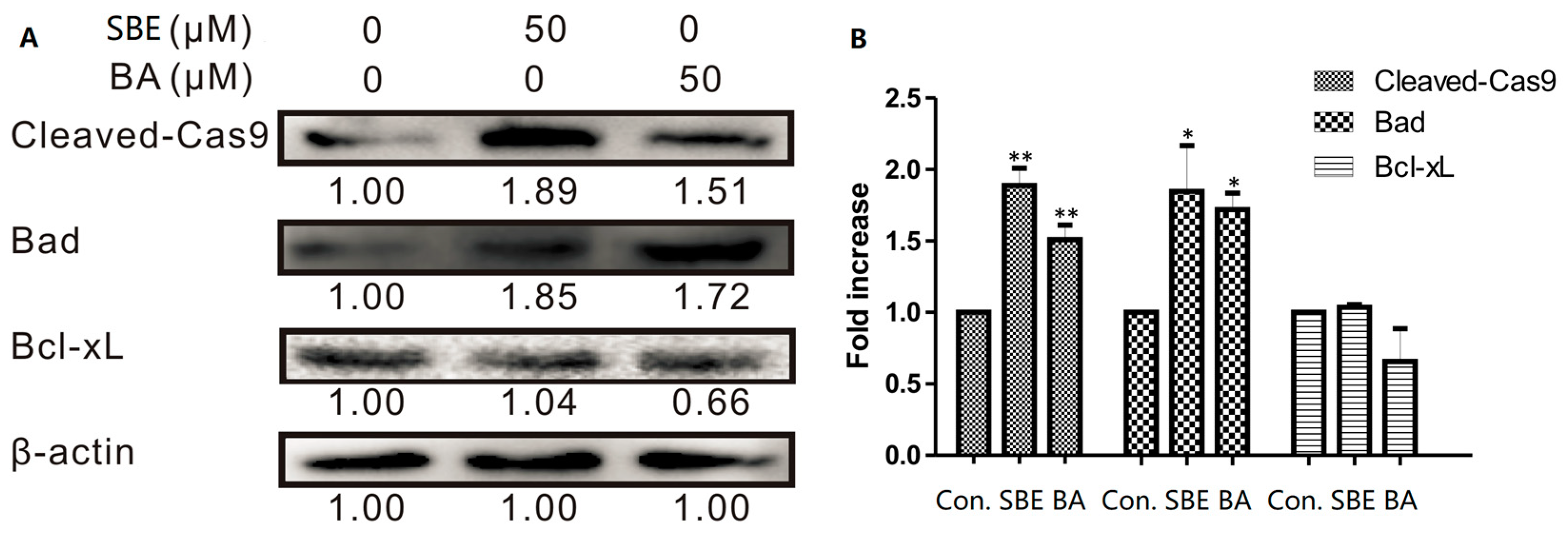 Molecules 28 05715 g003