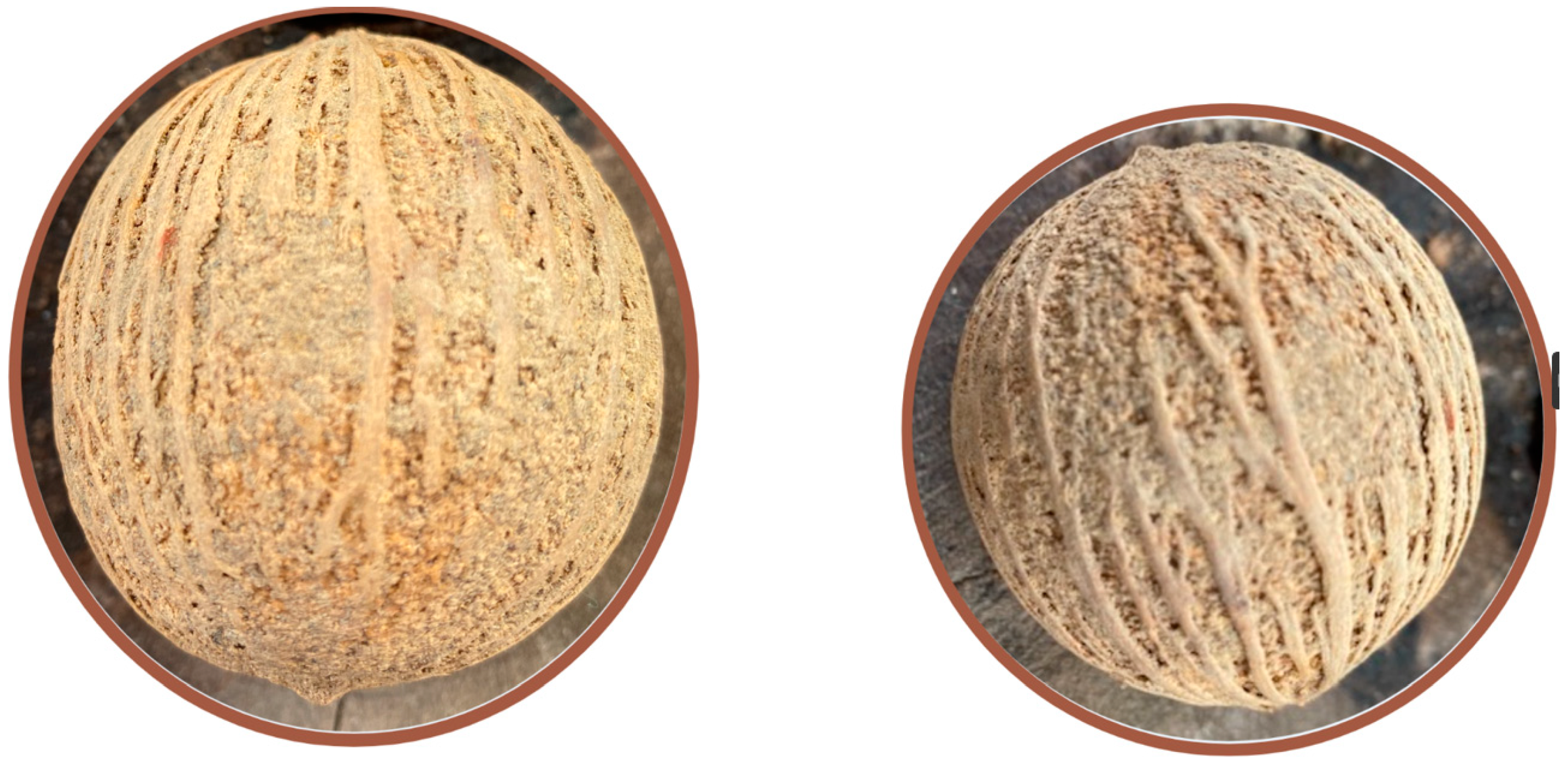 Molecules 28 05717 g001 Molecules 28 05717 g001