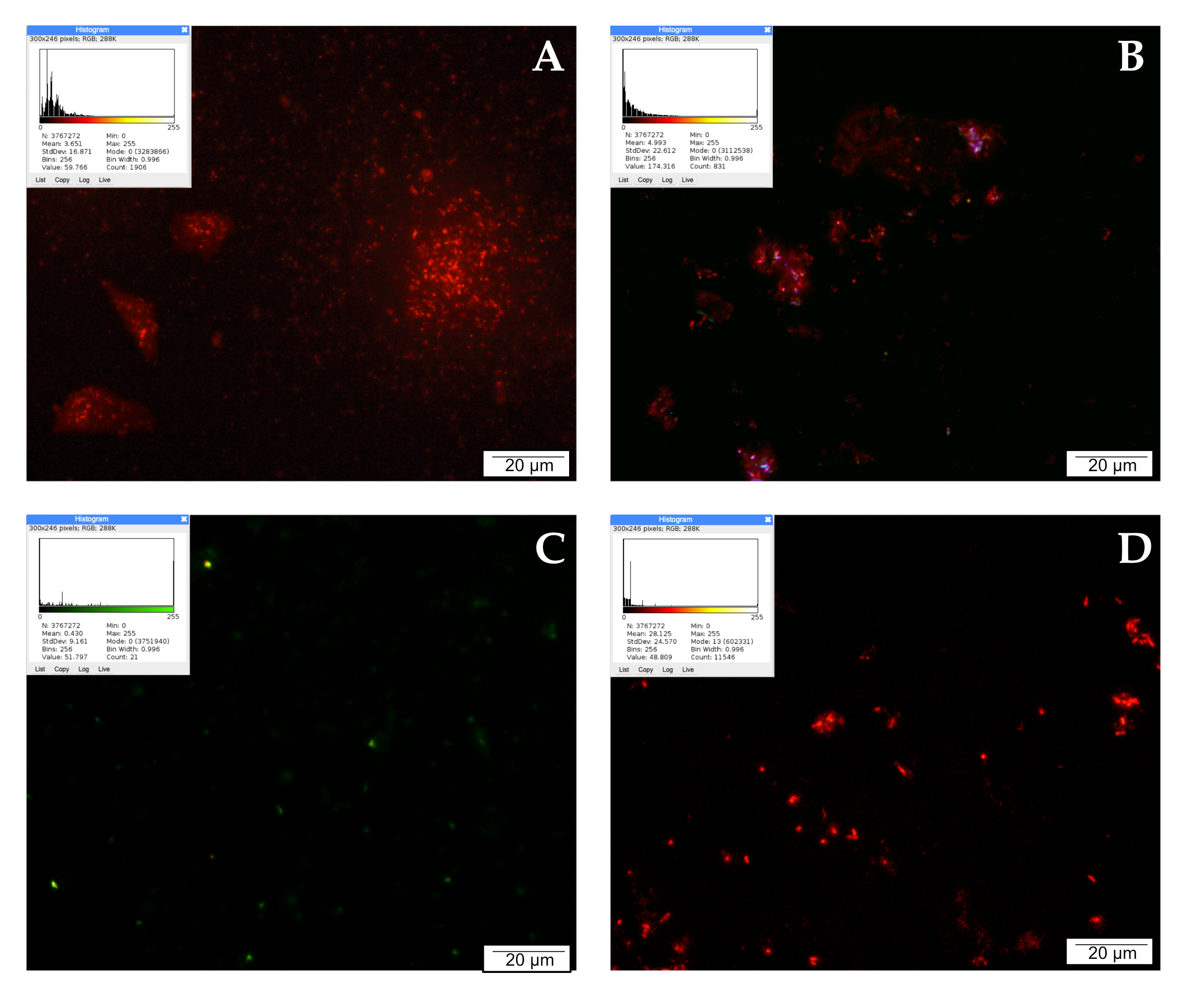 Molecules 28 05719 g002