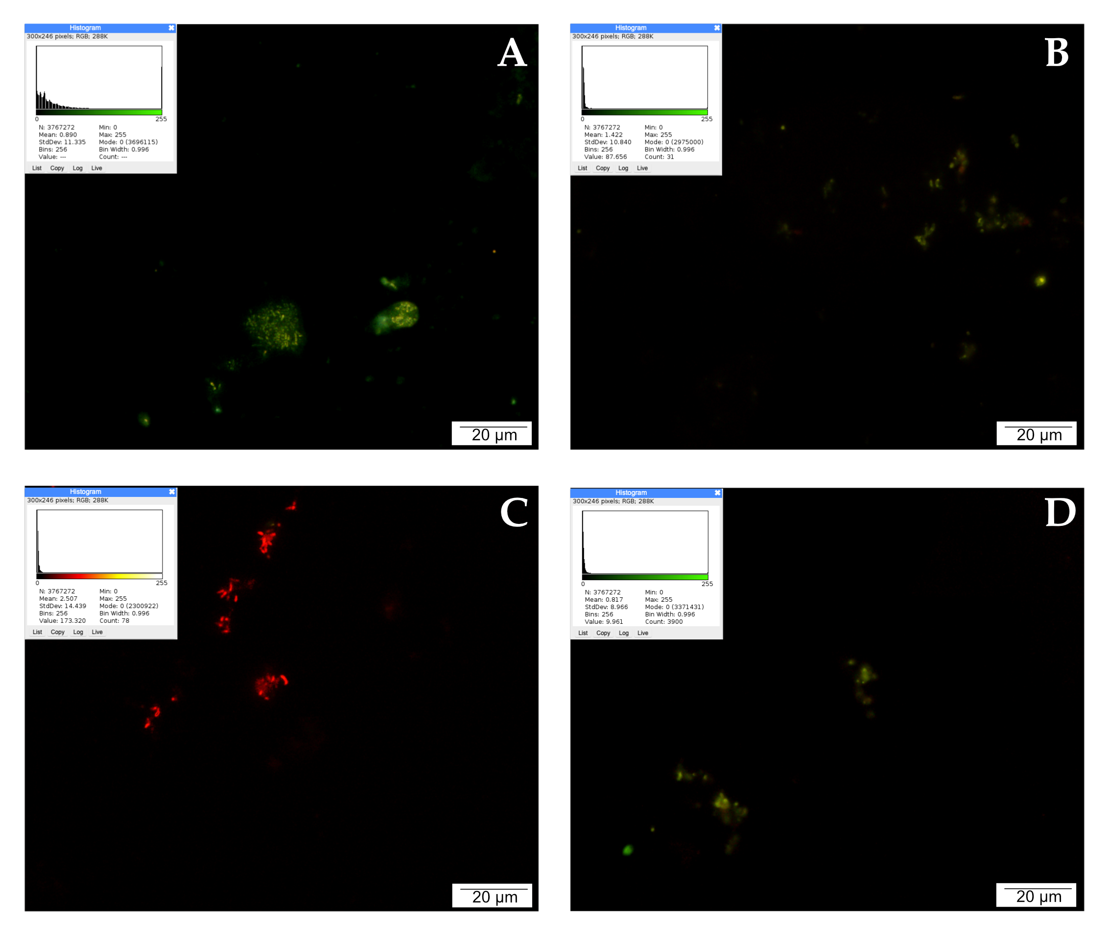 Molecules 28 05719 g003