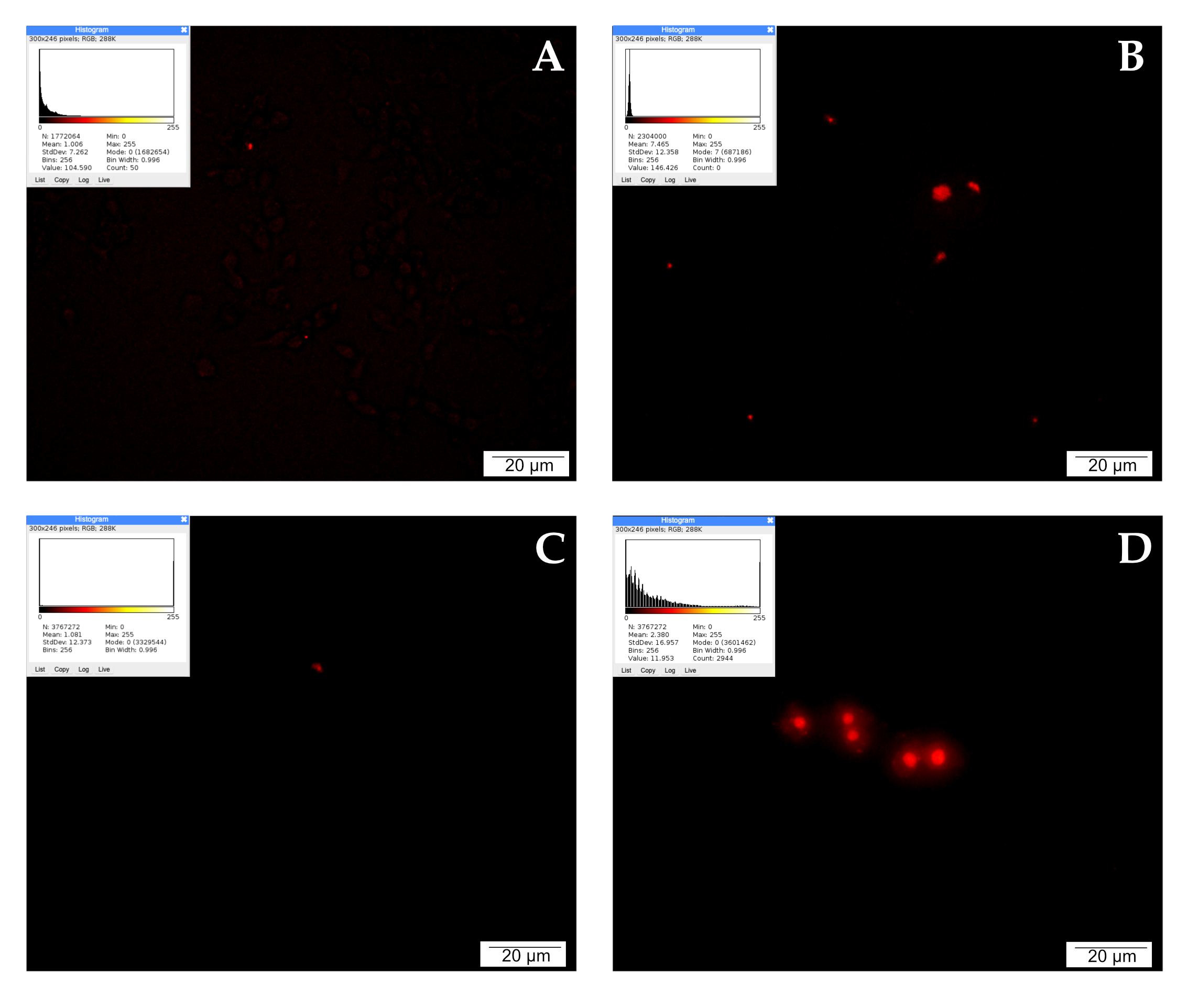 Molecules 28 05719 g004