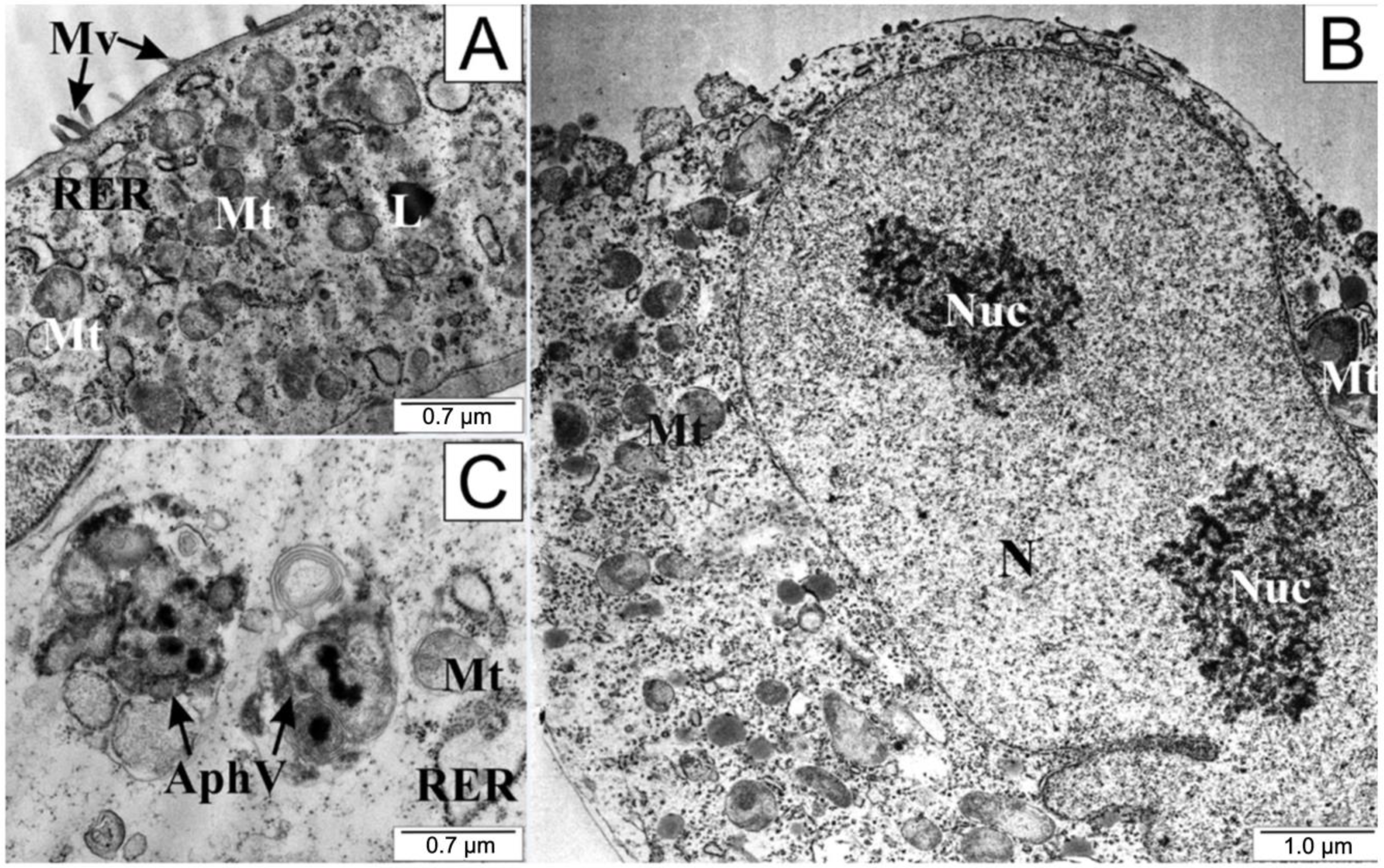 Molecules 28 05719 g006