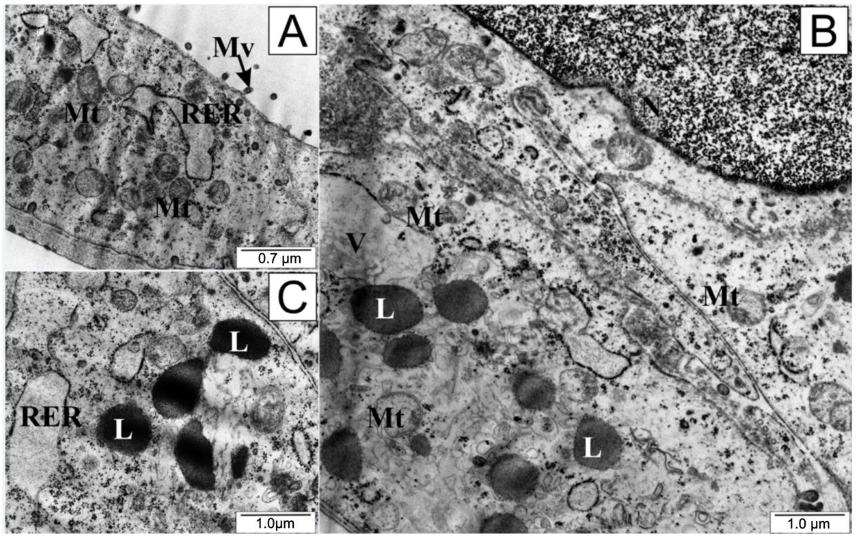 Molecules 28 05719 g007