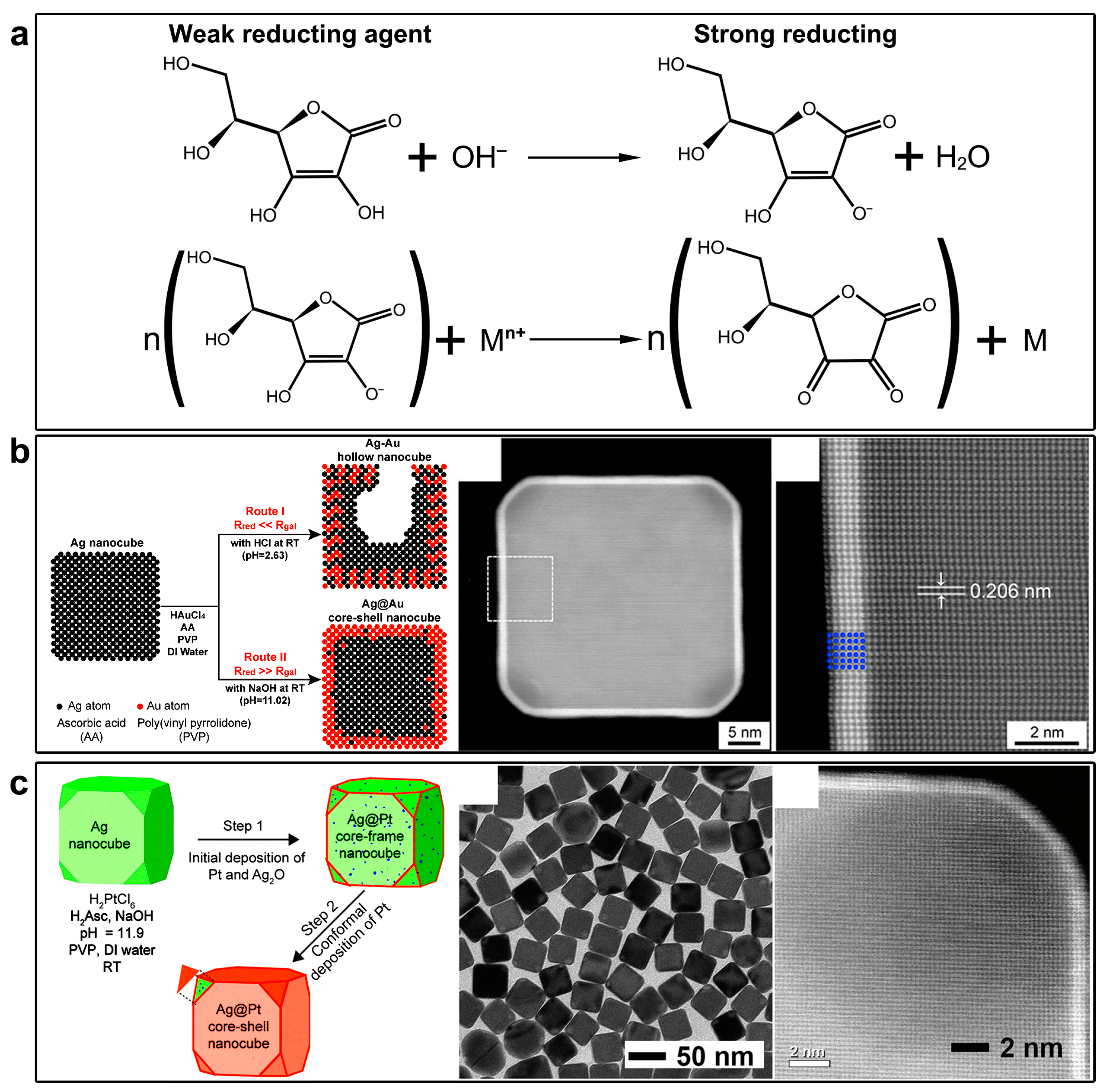 Molecules 28 05720 g004 Molecules 28 05720 g004