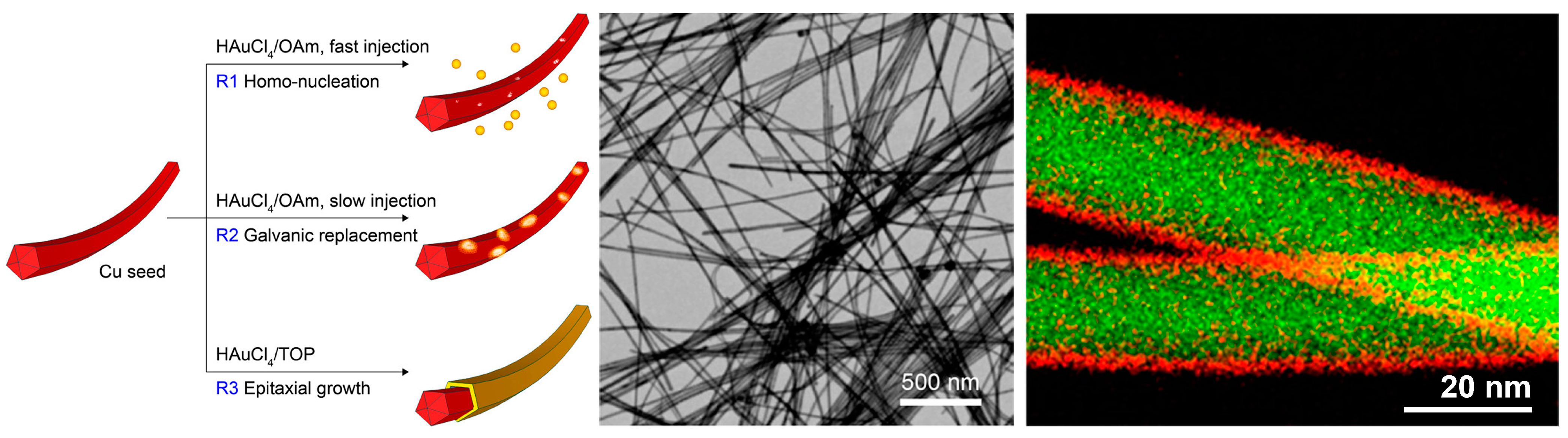 Molecules 28 05720 g006 Molecules 28 05720 g006