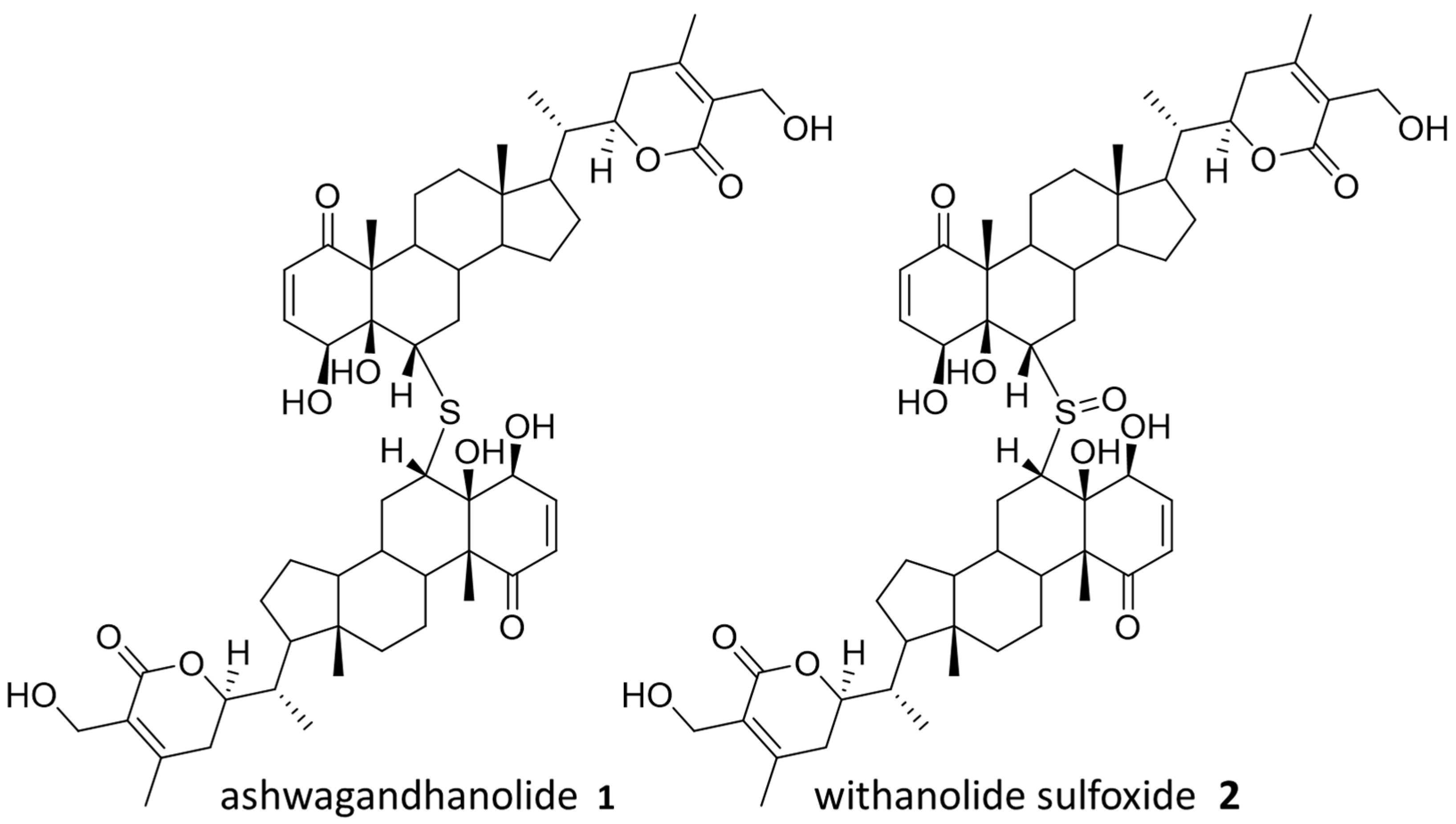 Molecules 28 05726 g002