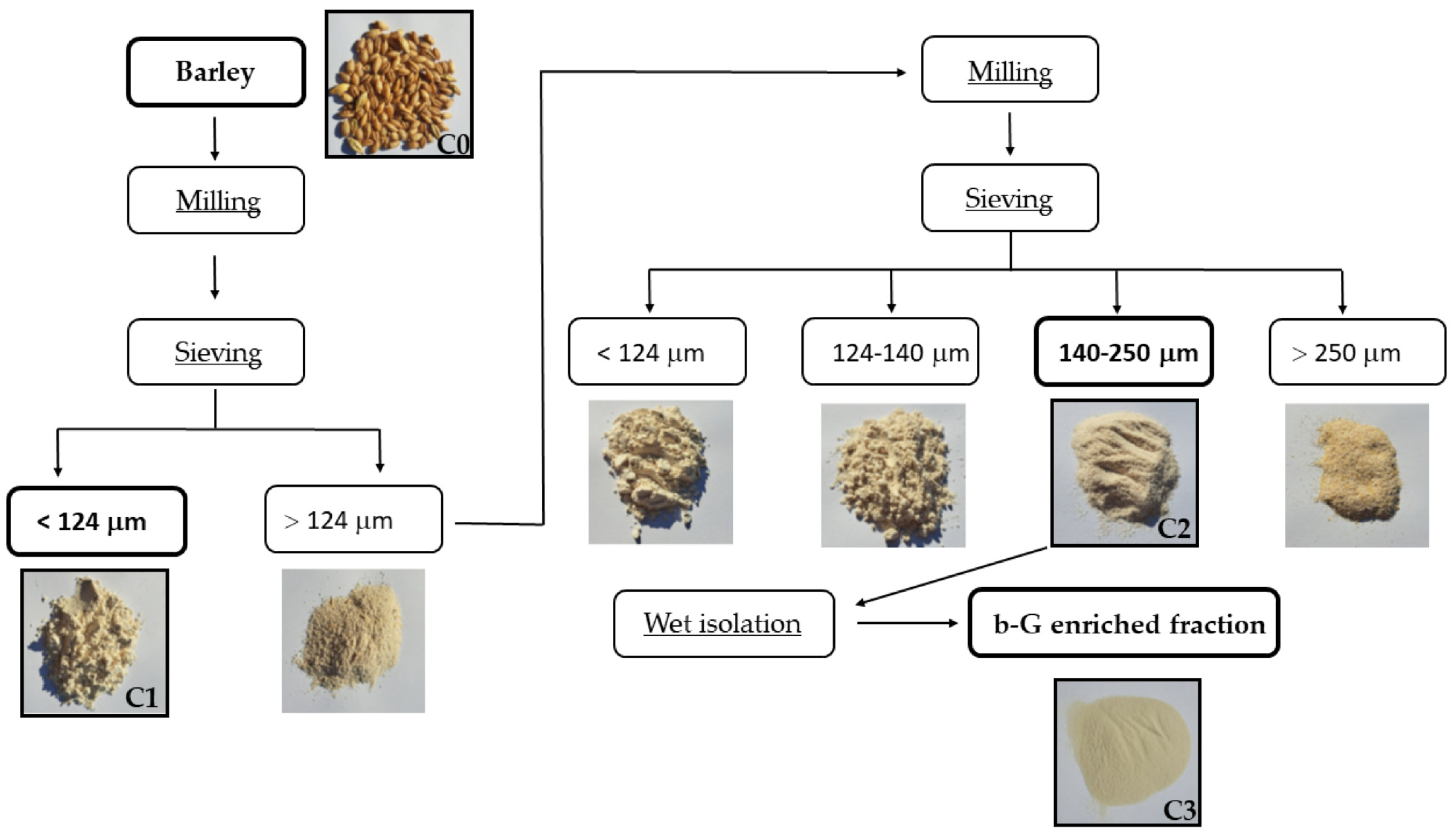 Molecules 28 05738 g002