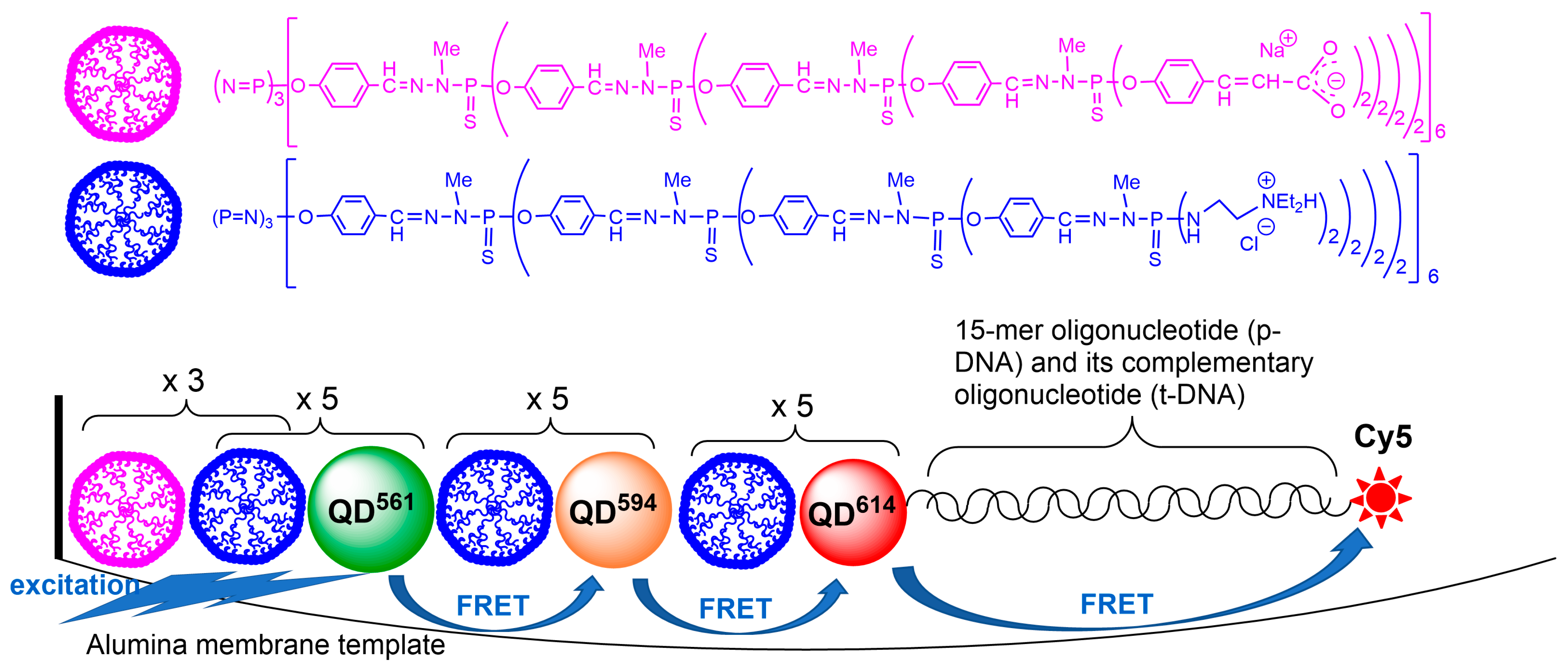 Molecules 28 05739 g003 Molecules 28 05739 g003