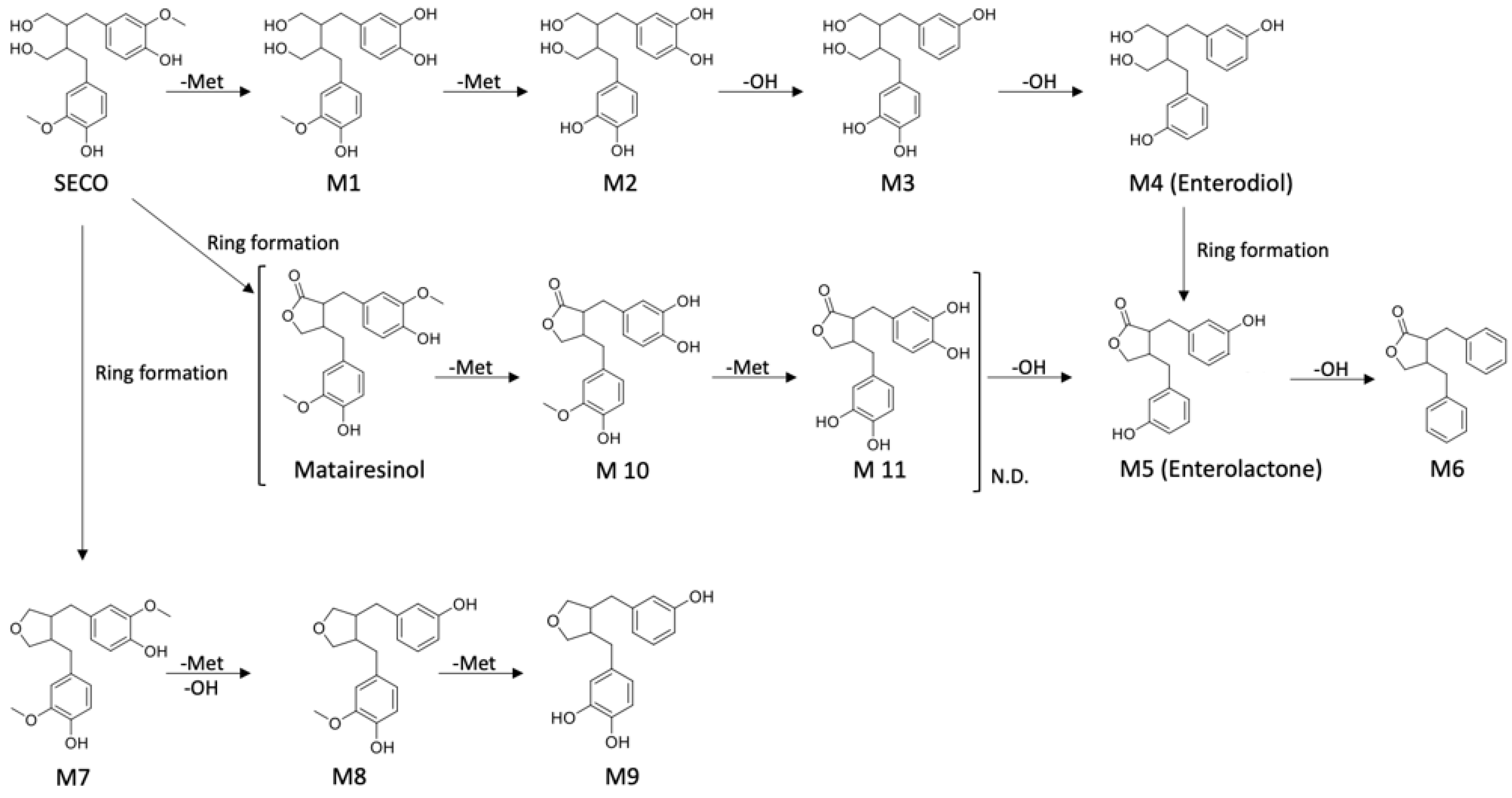 Molecules 28 05742 g004