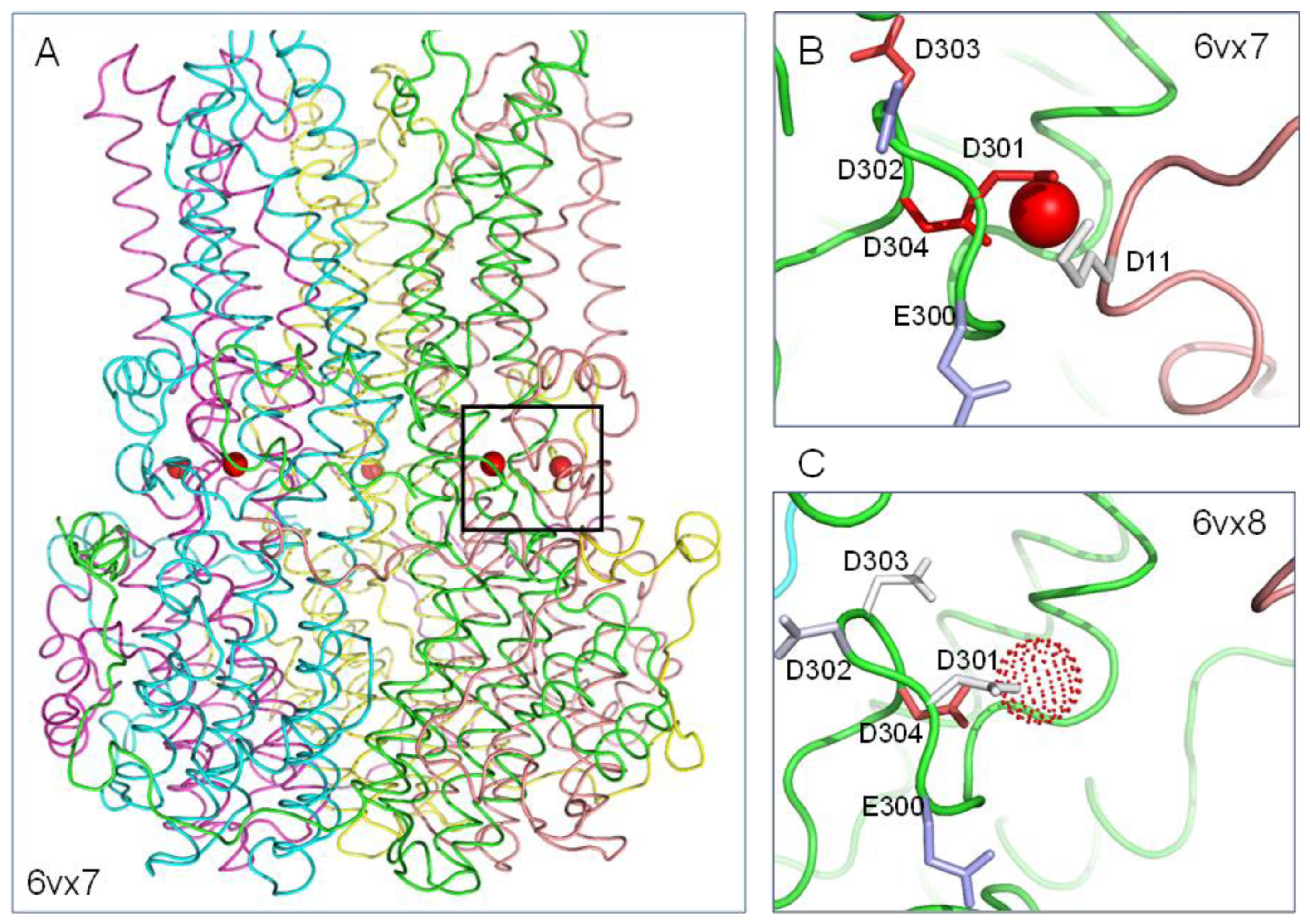Molecules 28 05753 g002 Molecules 28 05753 g002