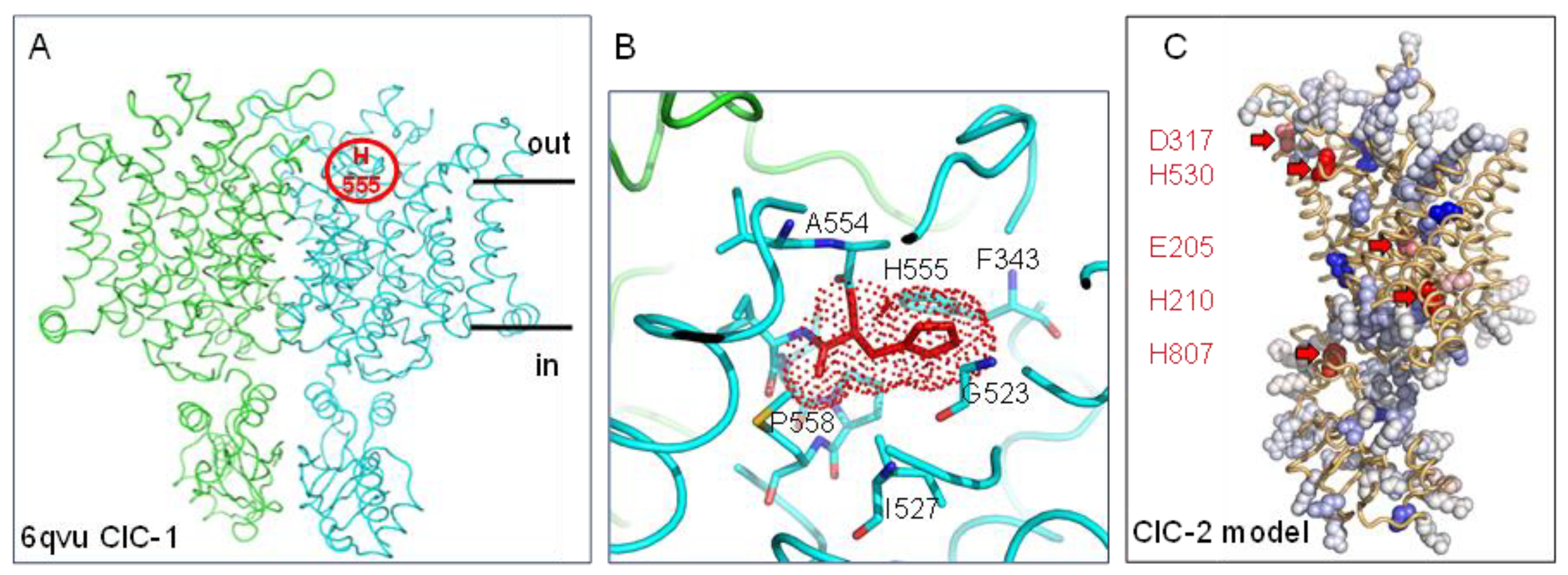 Molecules 28 05753 g004 Molecules 28 05753 g004
