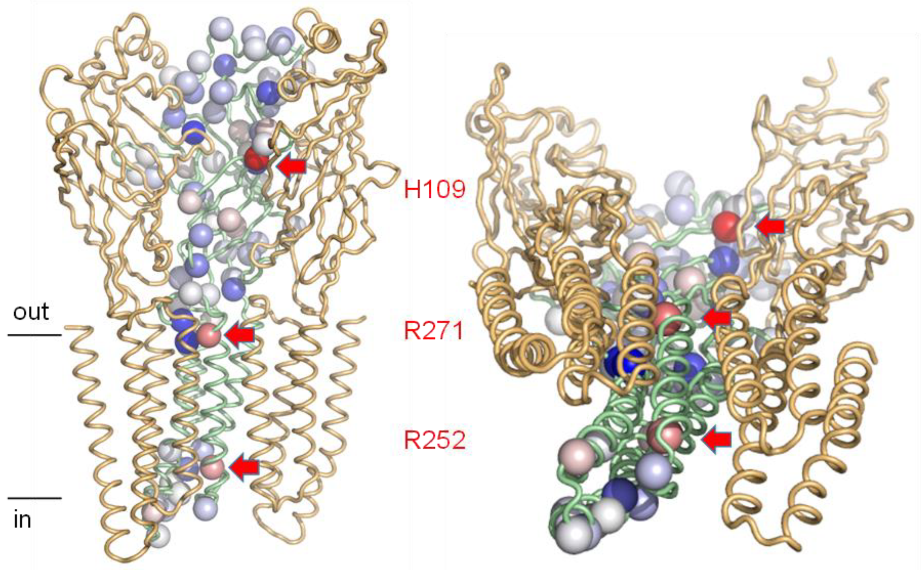 Molecules 28 05753 g006 Molecules 28 05753 g006