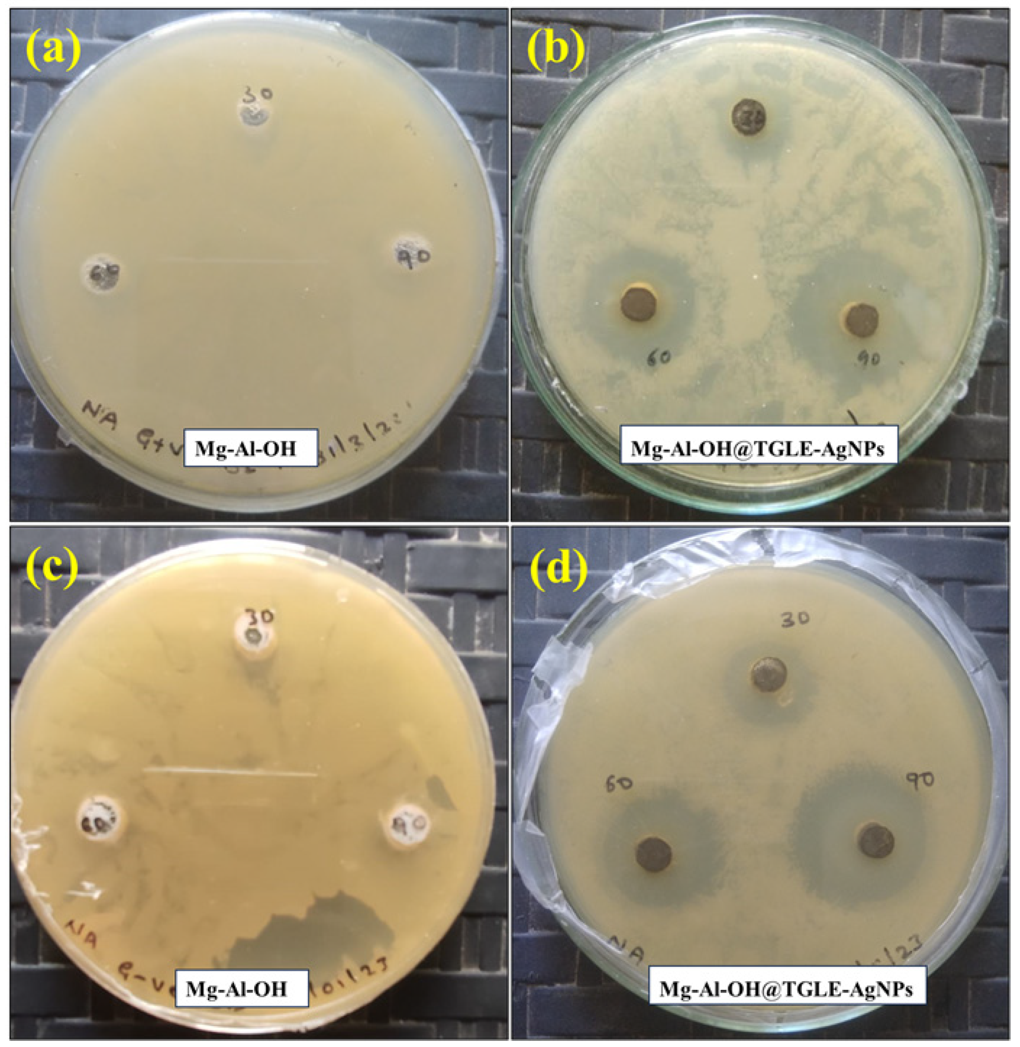 Molecules 28 05754 g011 Molecules 28 05754 g011