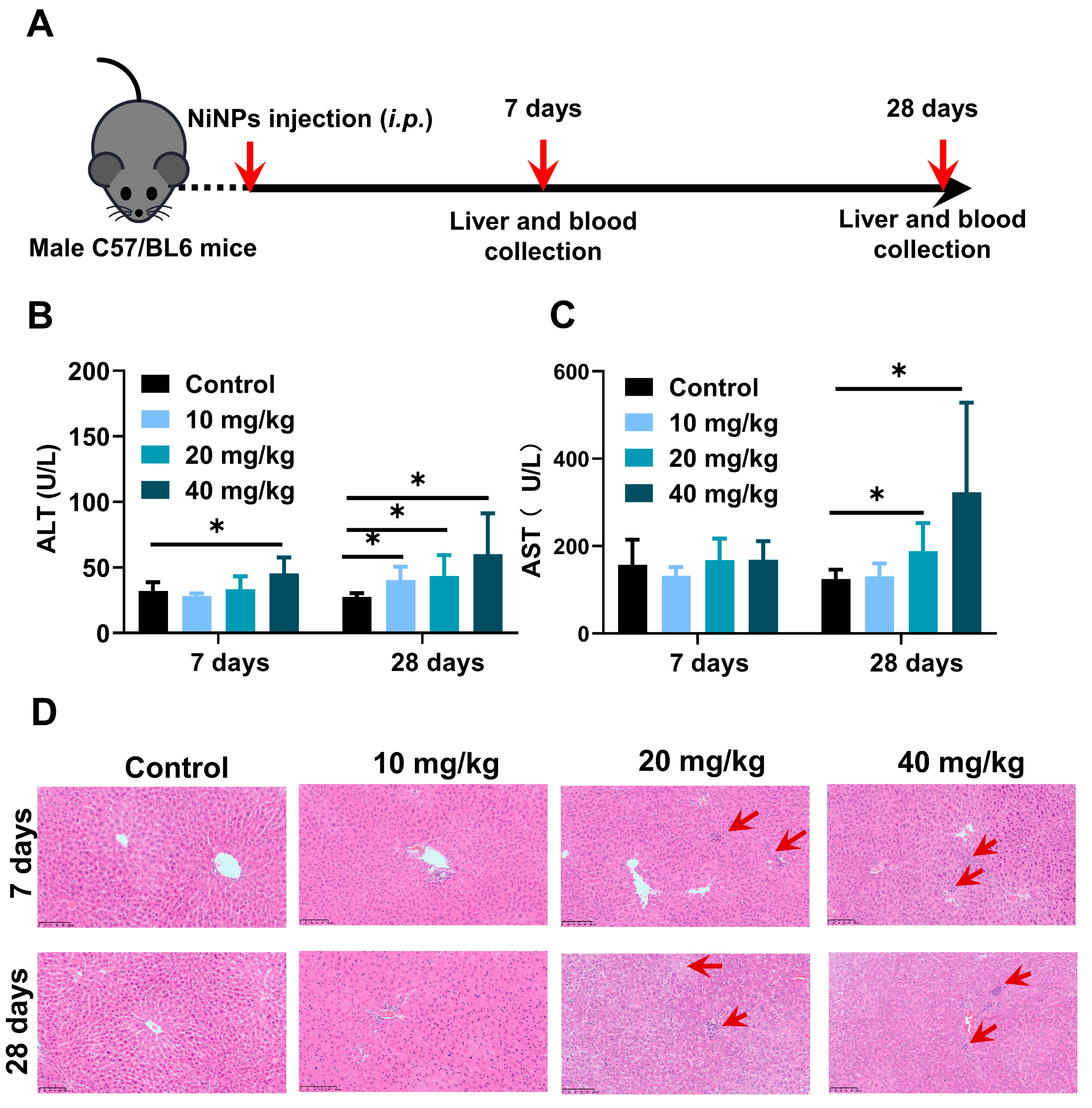 Molecules 28 05757 g002 Molecules 28 05757 g002