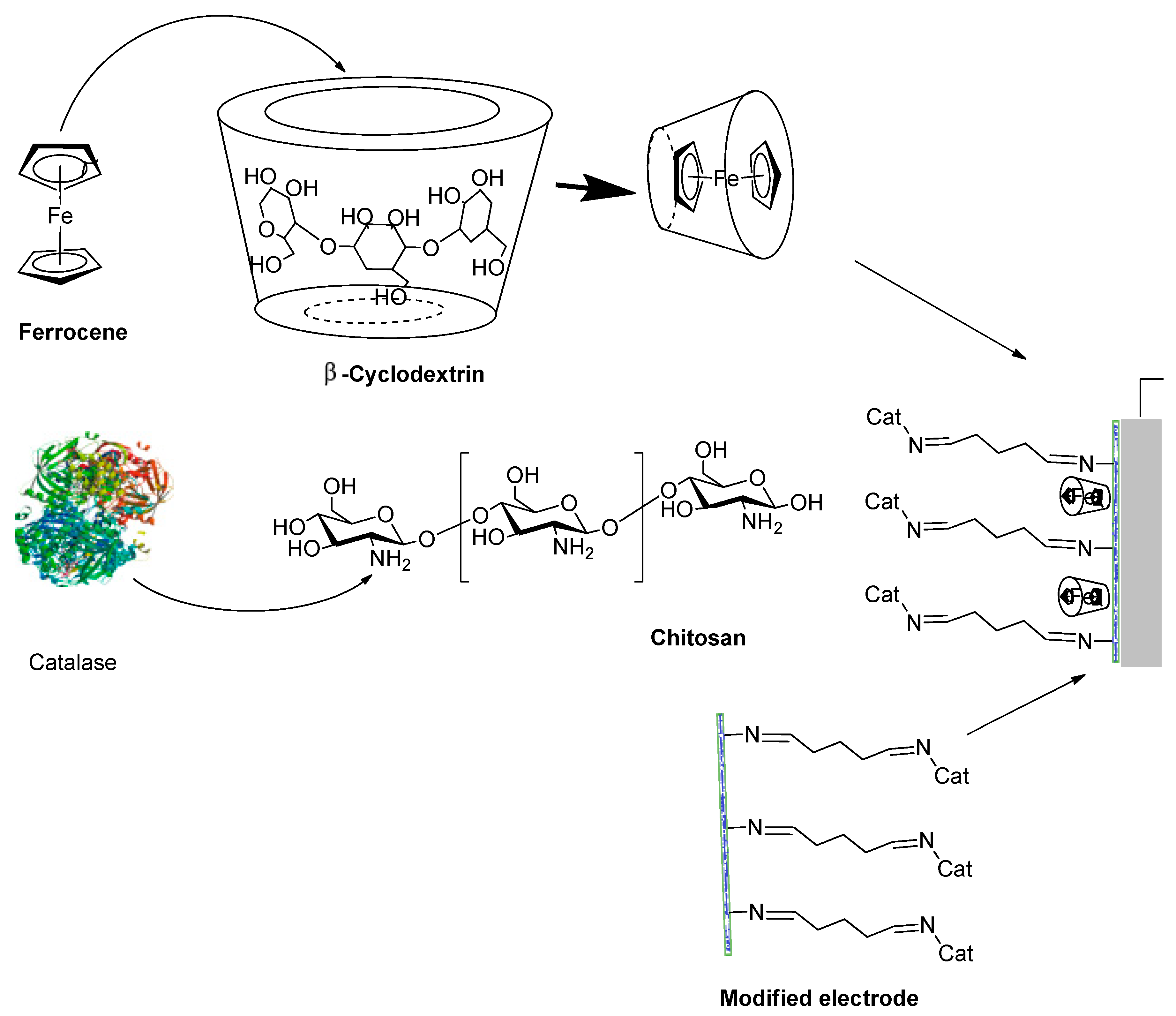 Molecules 28 05765 g003