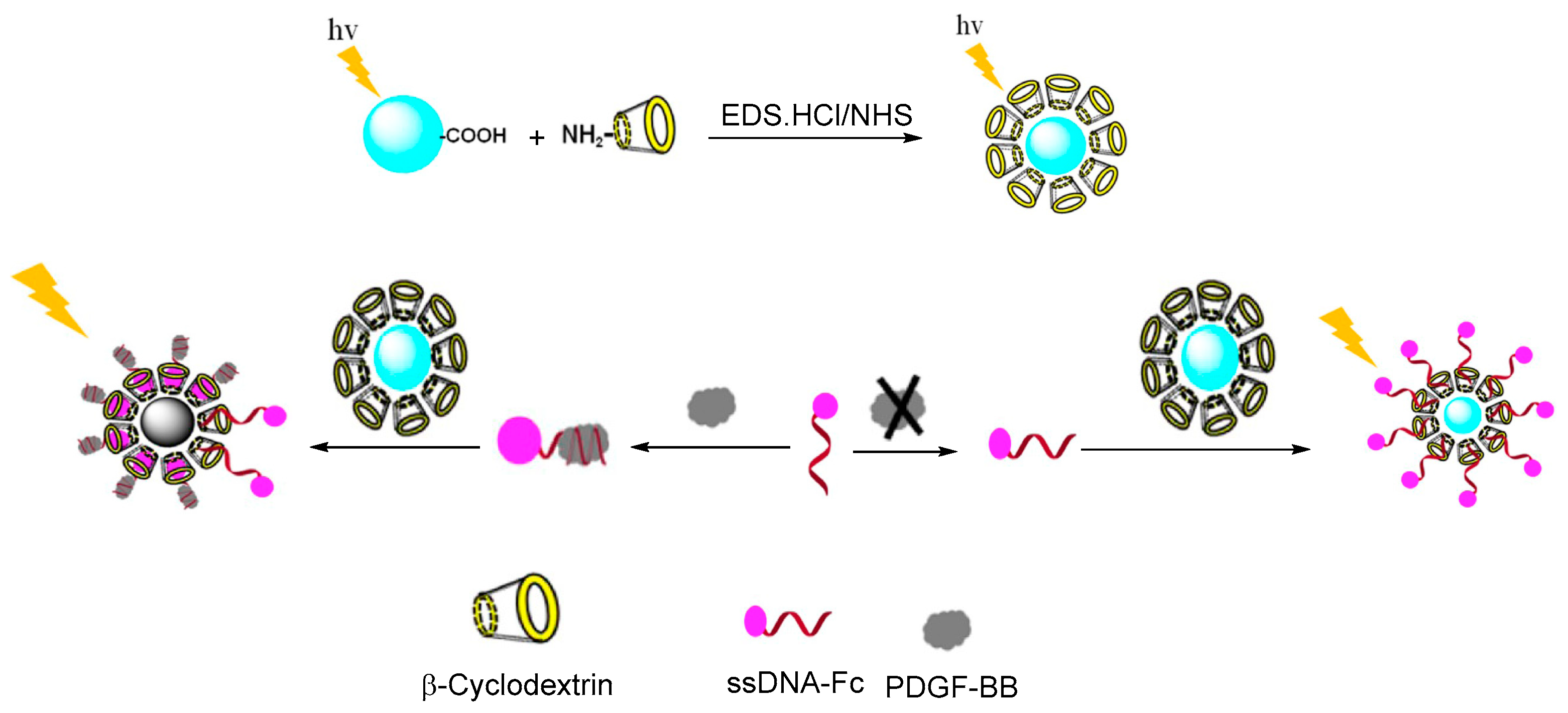 Molecules 28 05765 g004