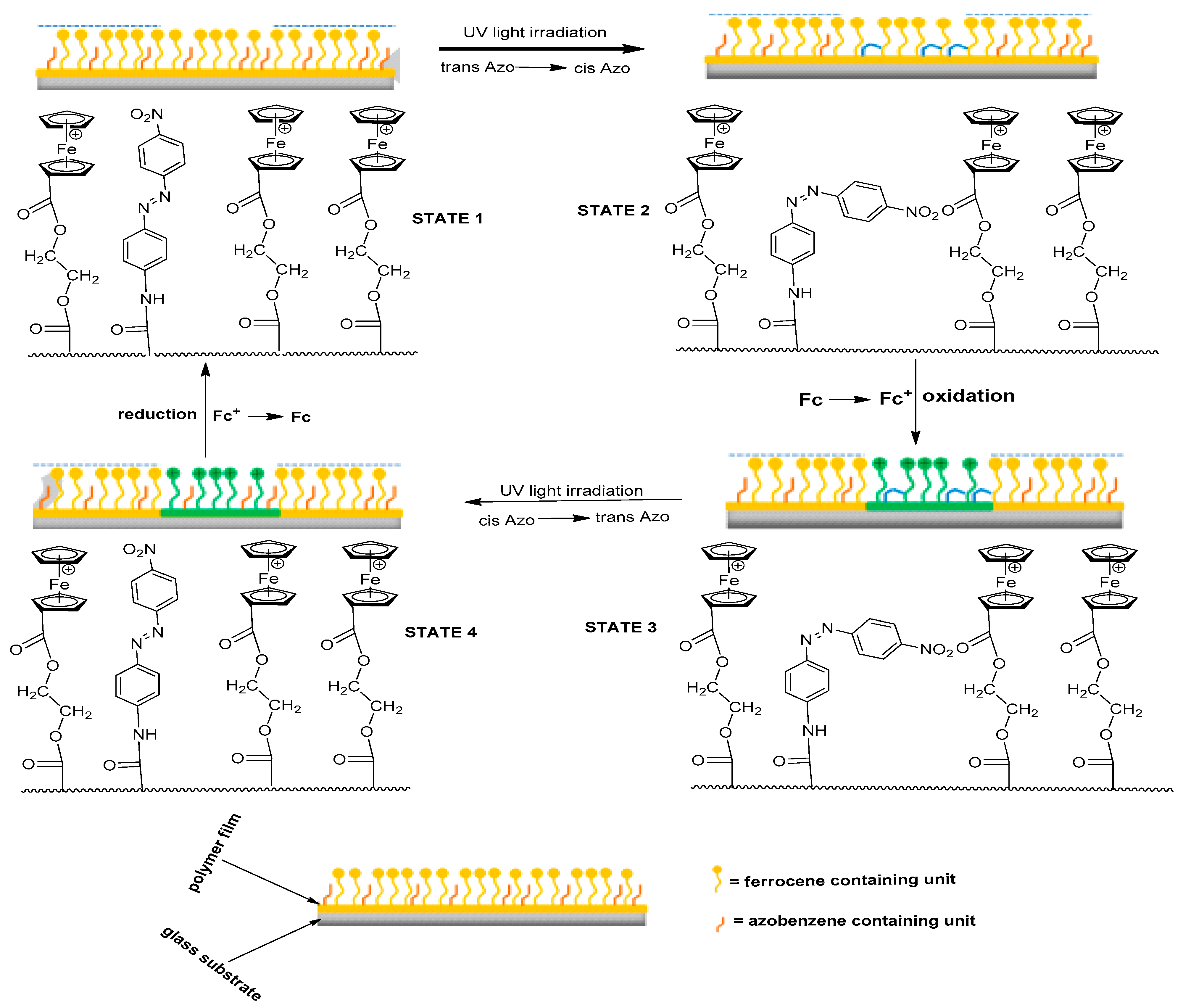 Molecules 28 05765 g020