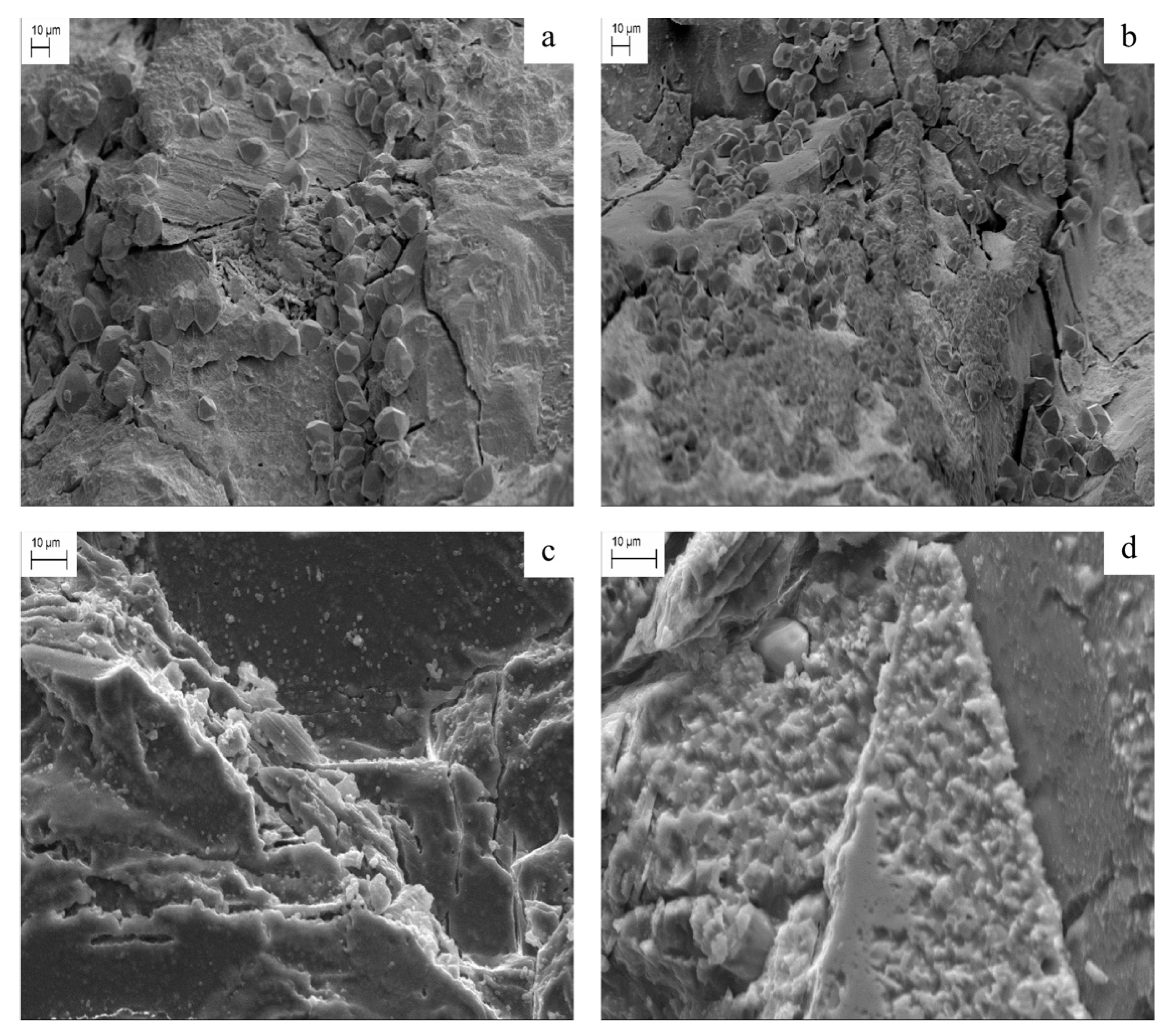 Molecules 28 05768 g002