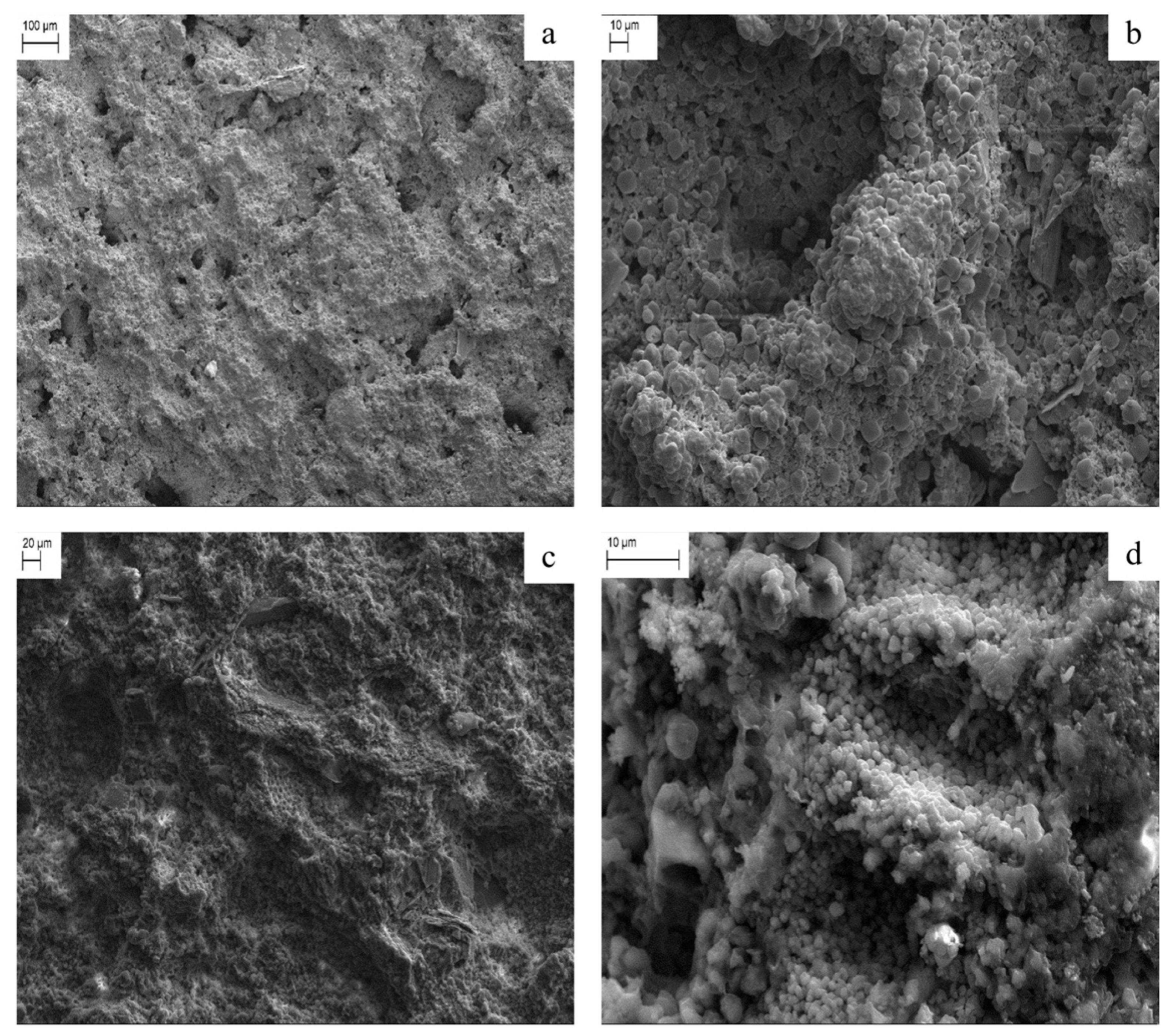 Molecules 28 05768 g003