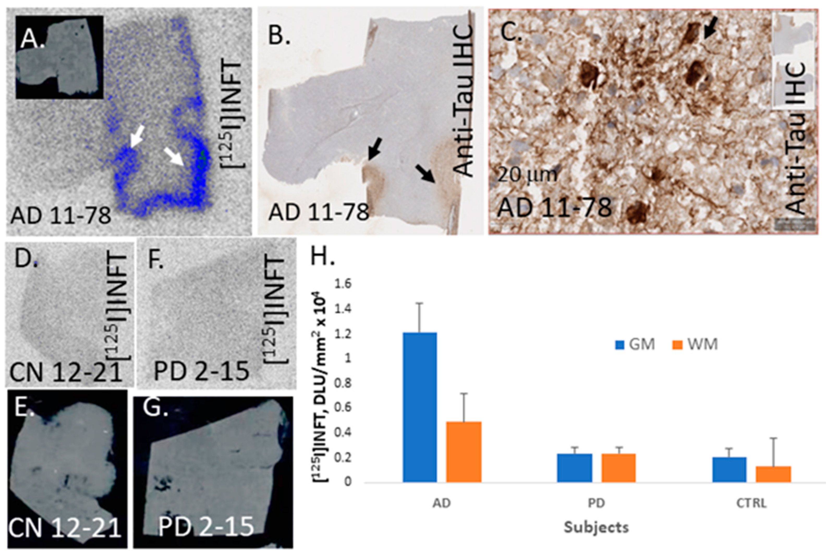 Molecules 28 05769 g006