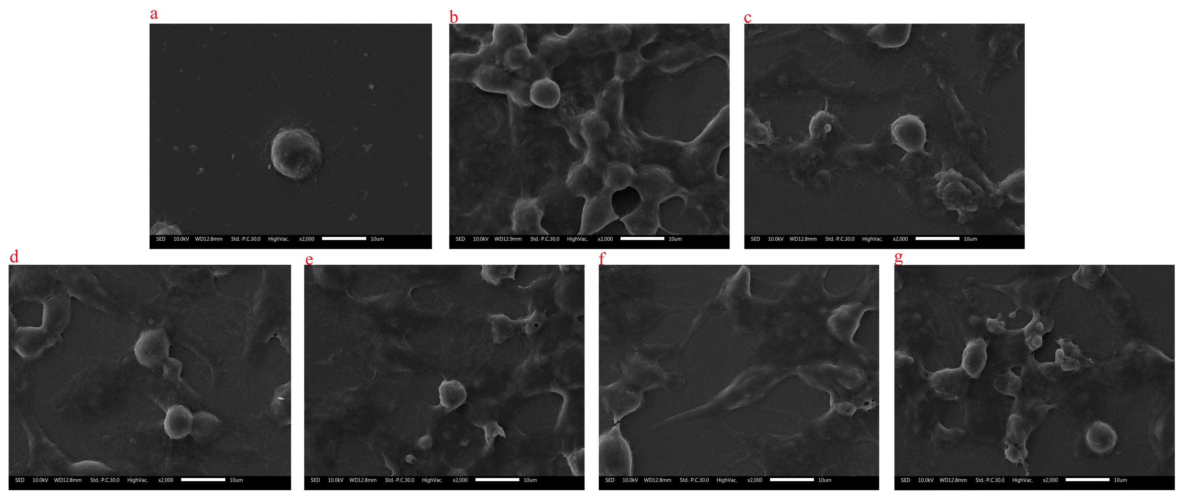 Molecules 28 05771 g008