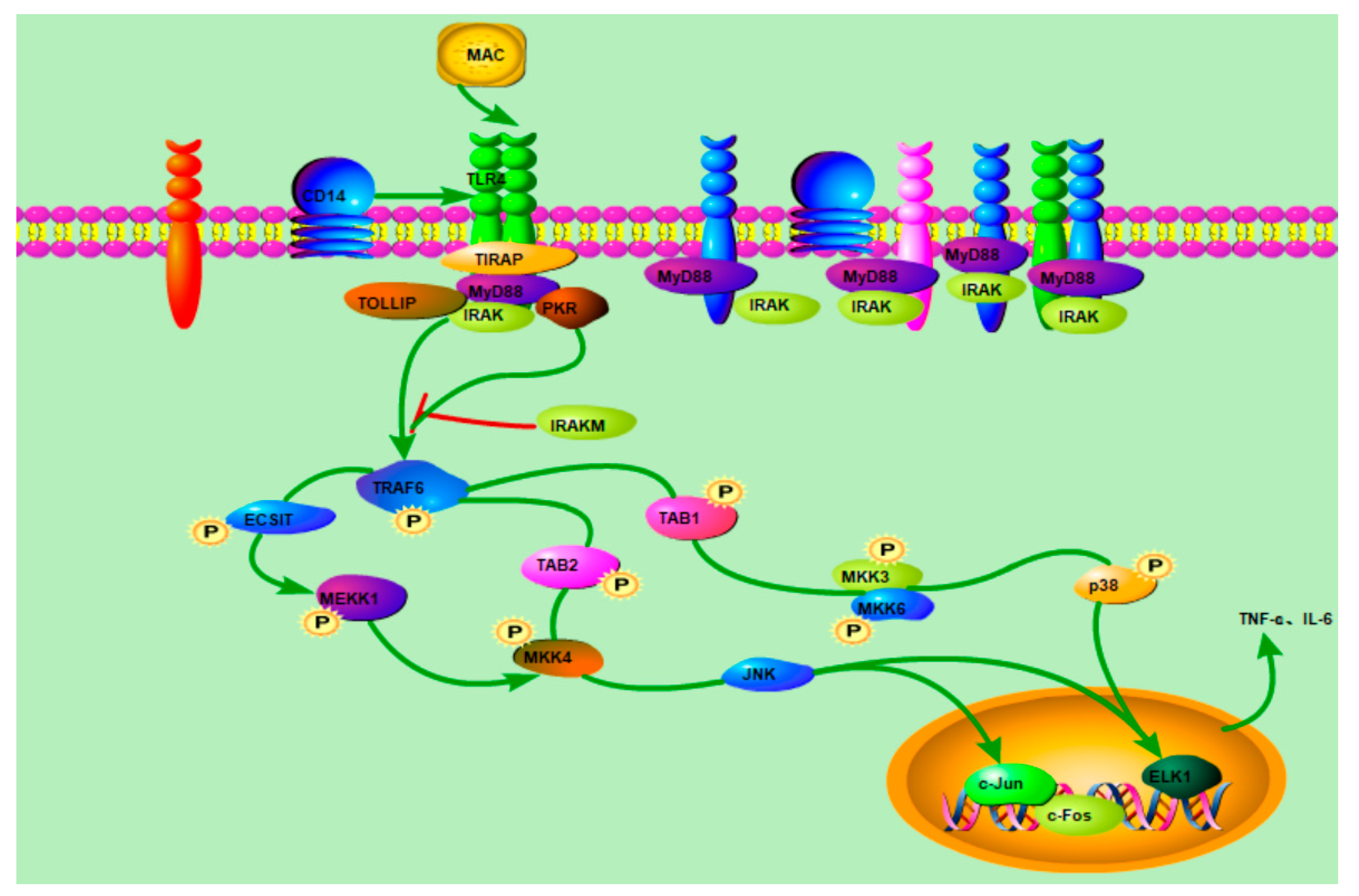 Molecules 28 05771 g010