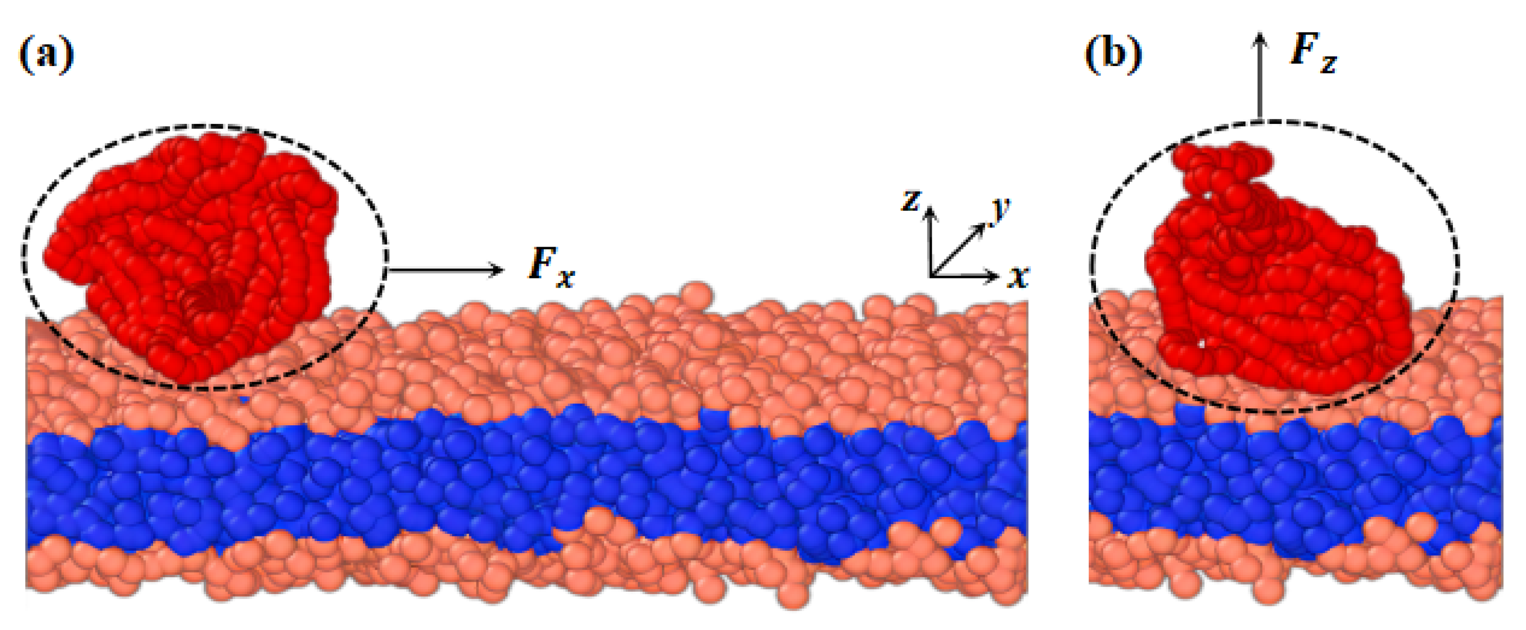Molecules 28 05790 g011