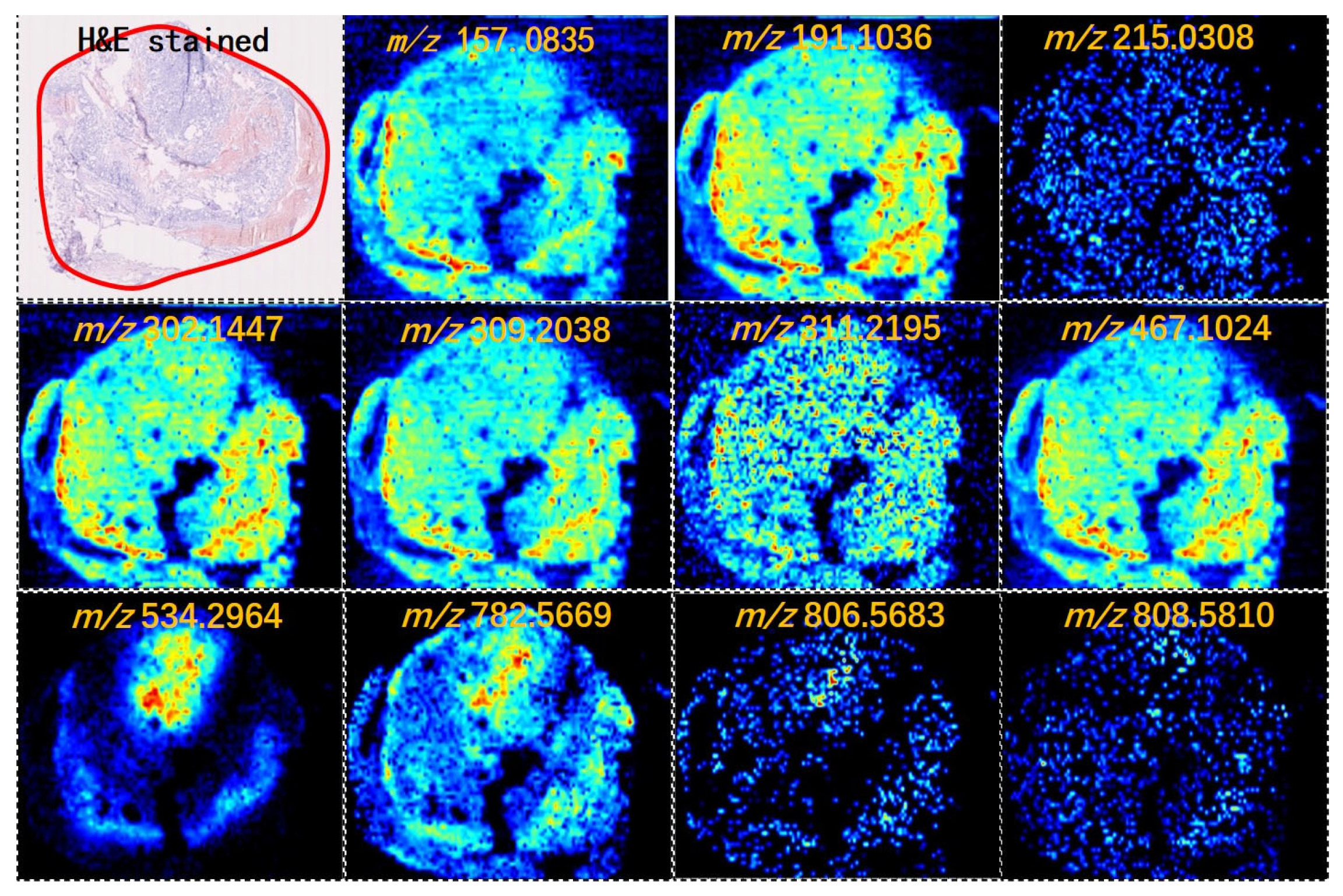 Molecules 28 05791 g001
