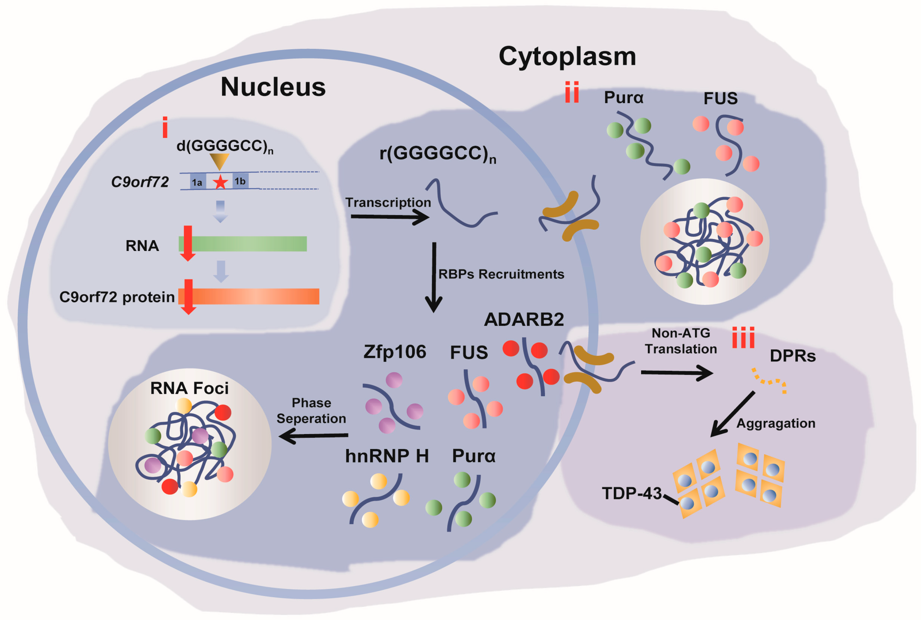 Molecules 28 05801 g001