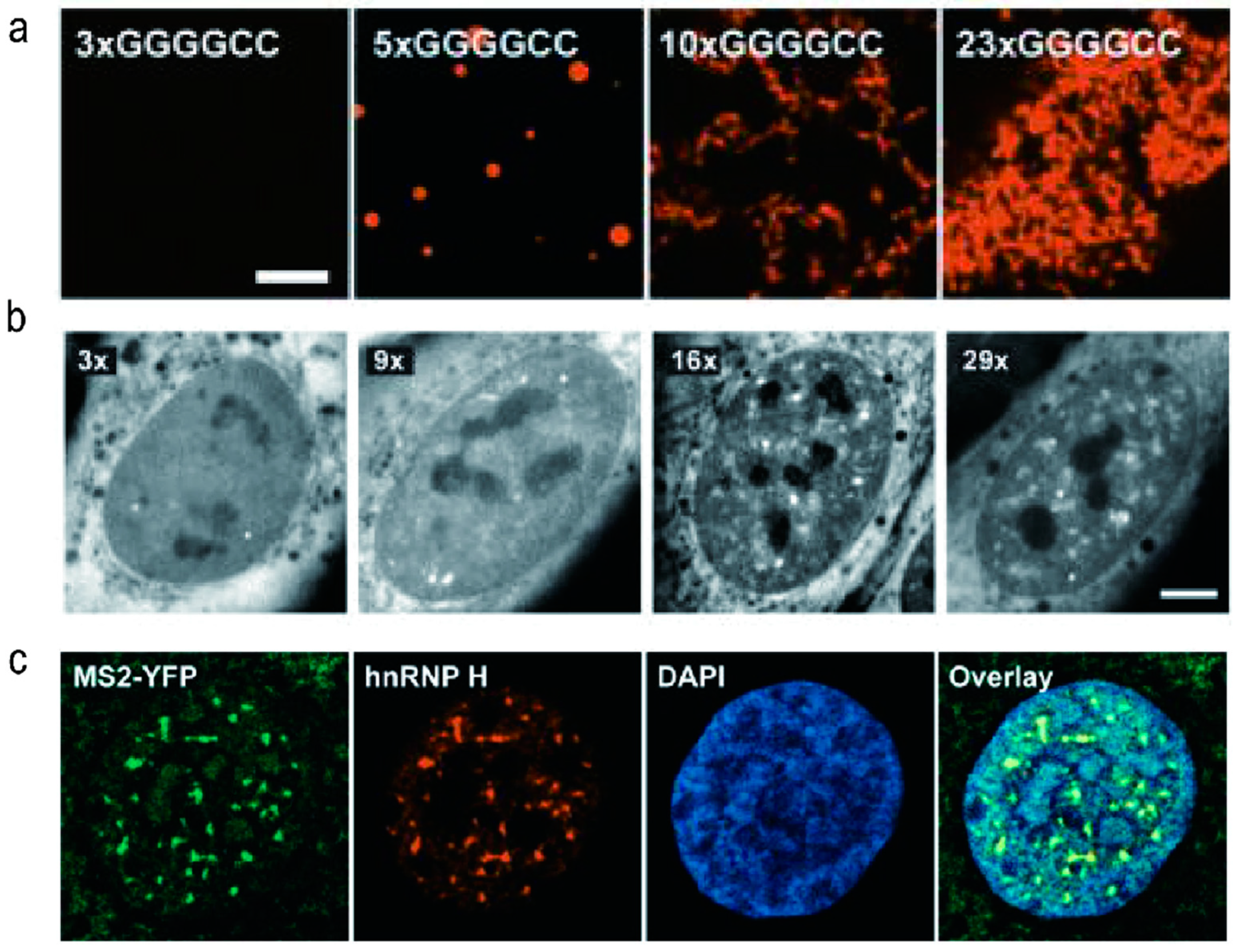 Molecules 28 05801 g003