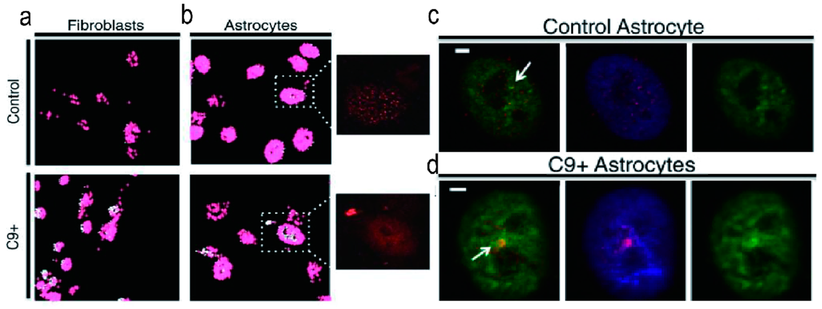 Molecules 28 05801 g004