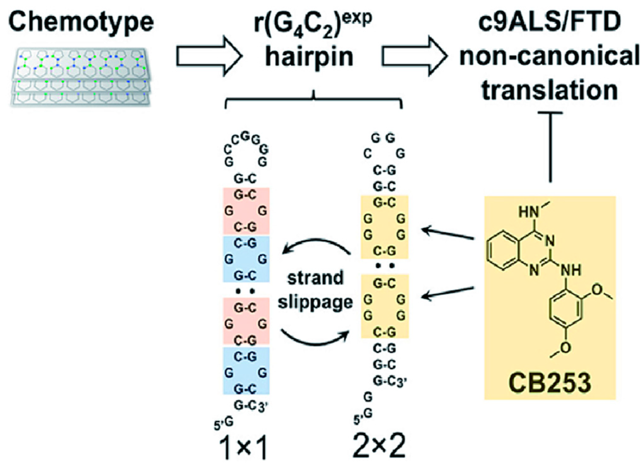 Molecules 28 05801 g008