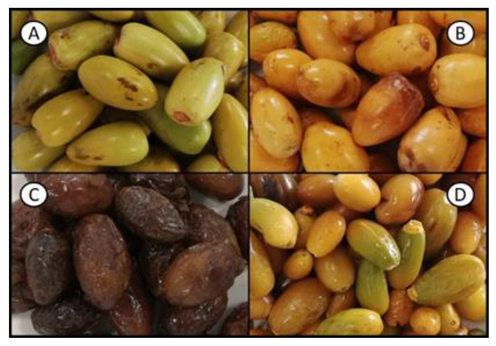 Molecules 28 05807 g004 Molecules 28 05807 g004