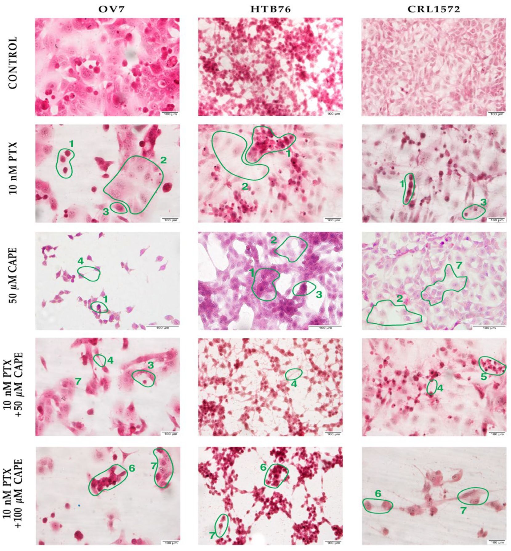Molecules 28 05813 g001