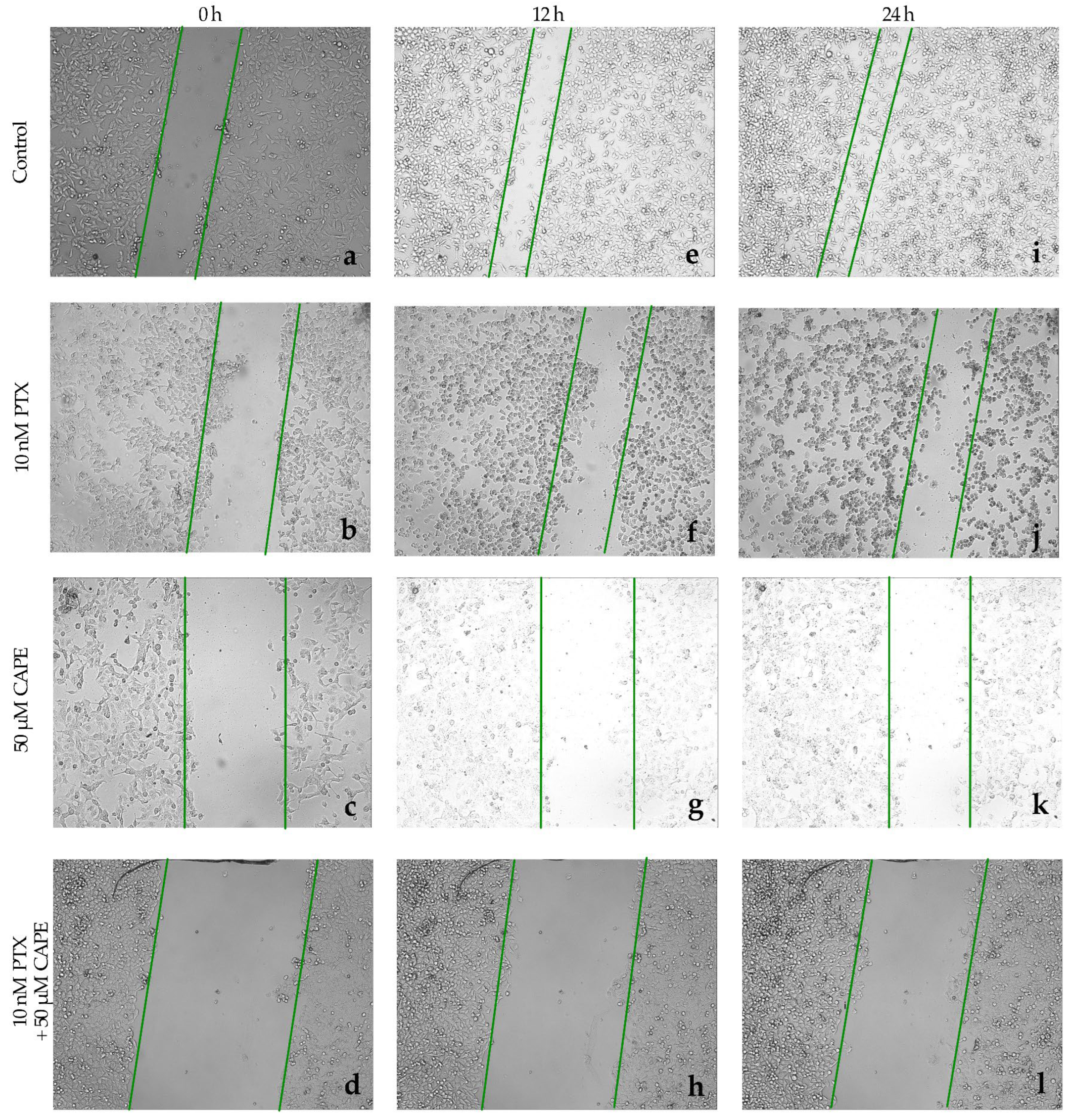 Molecules 28 05813 g008